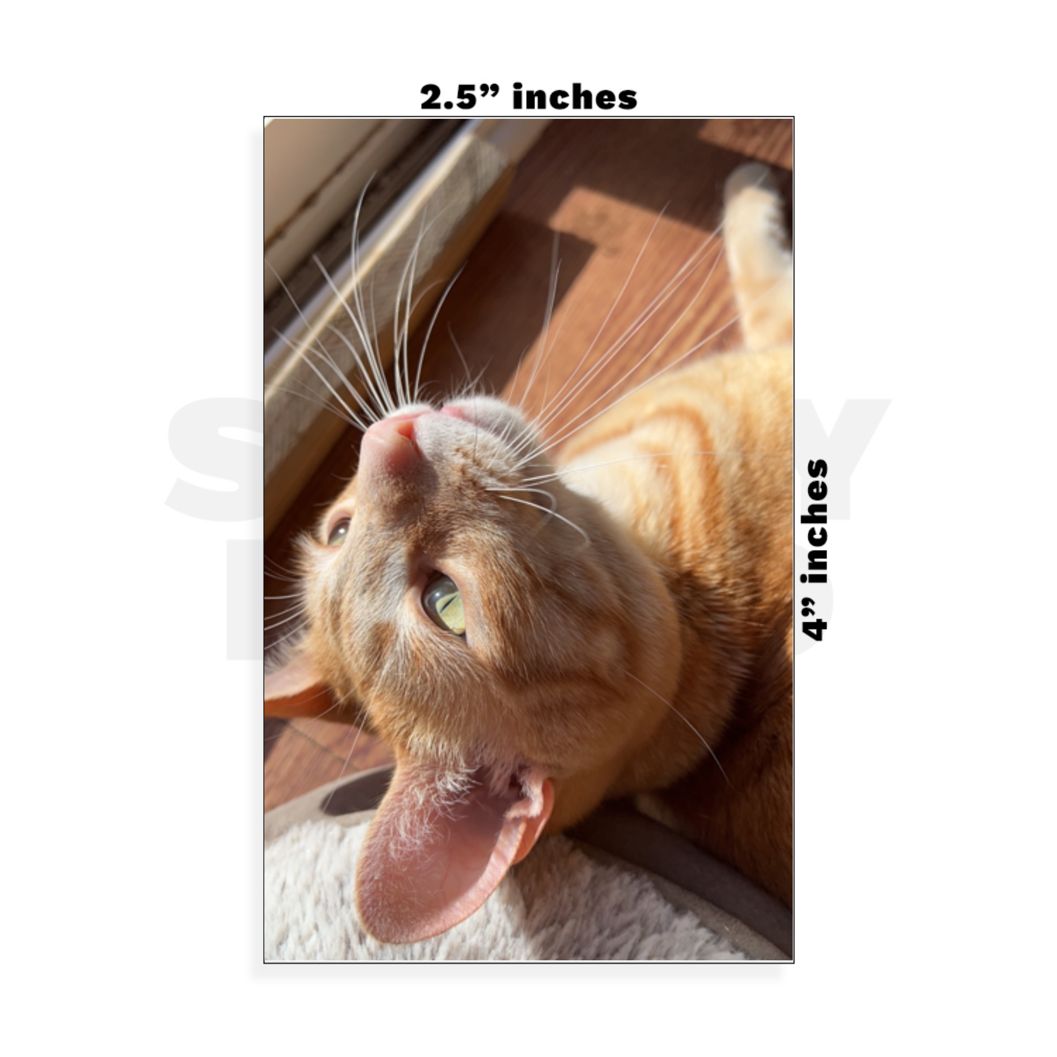 Custom Small - 2.5in x 4in