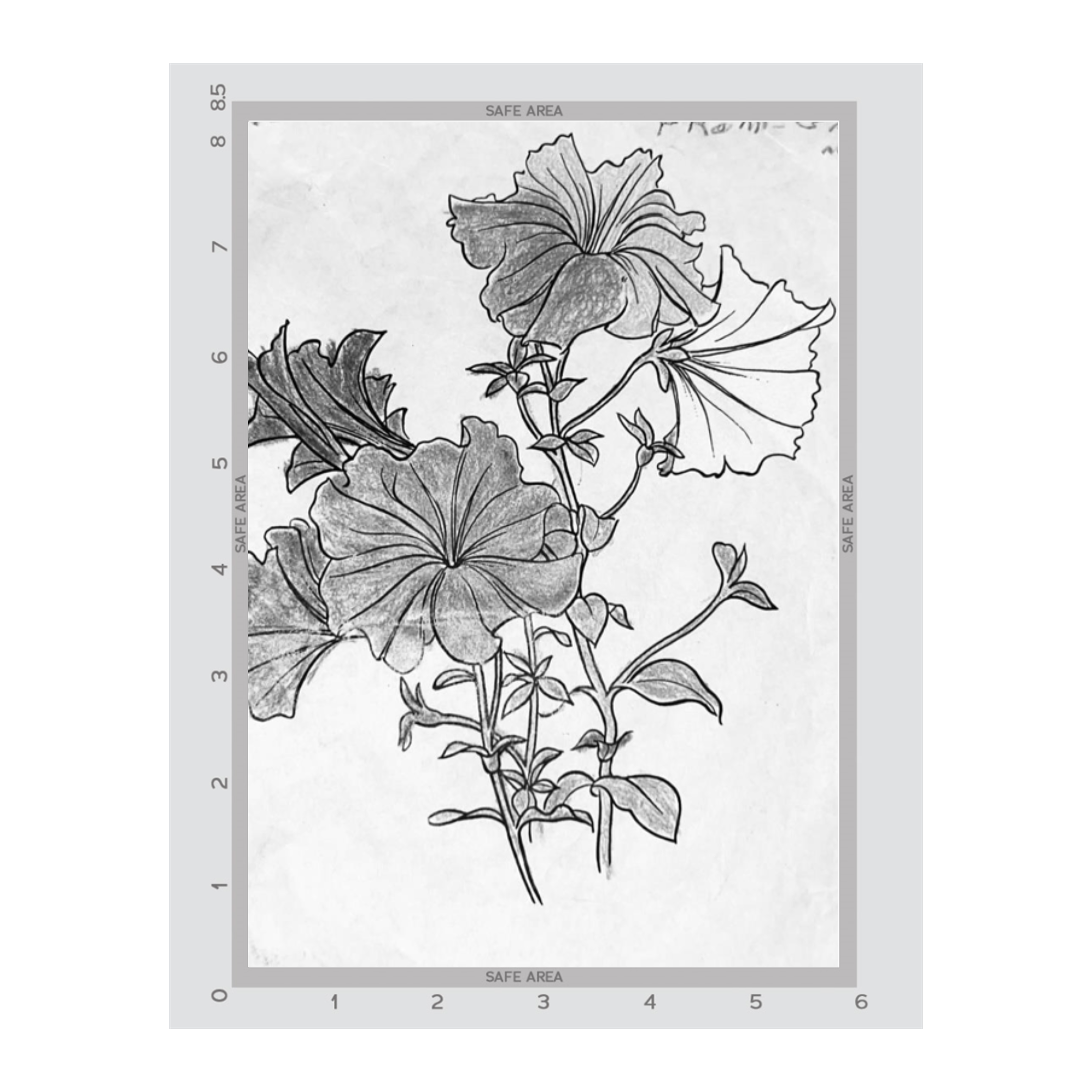 6" x 8.5"