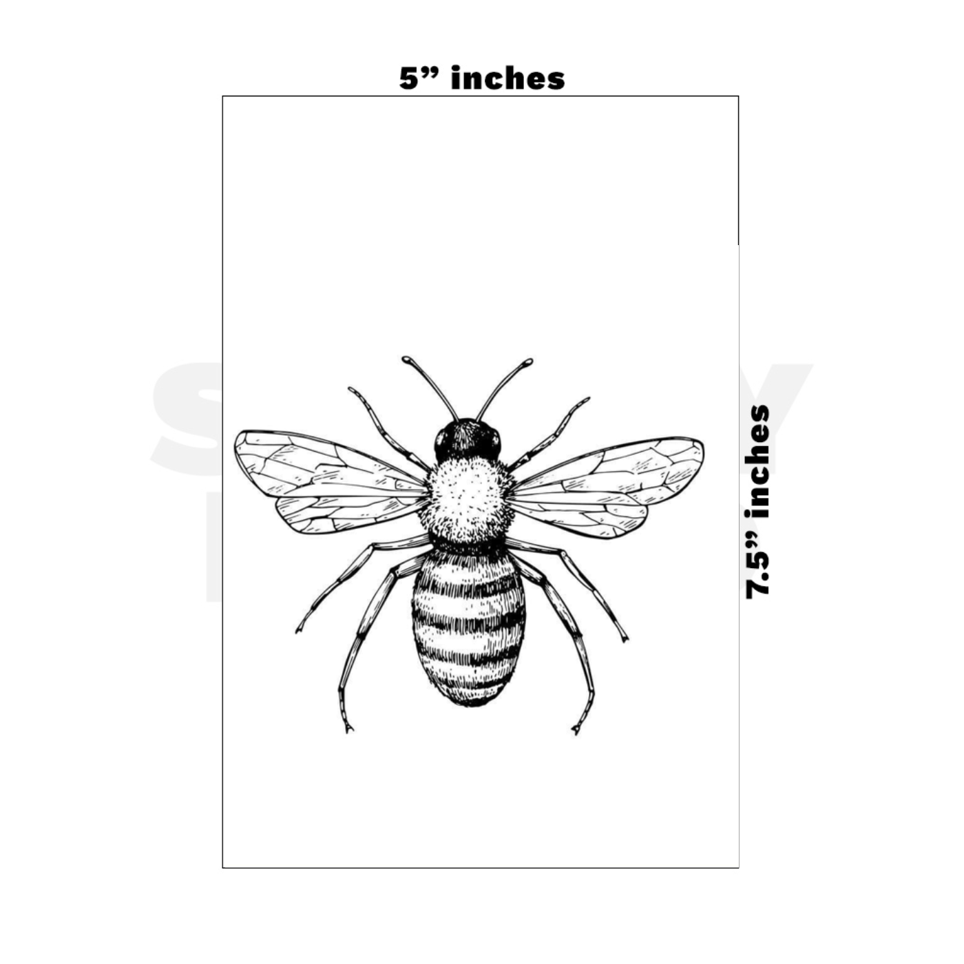 Custom Medium - 5in x 7.5in