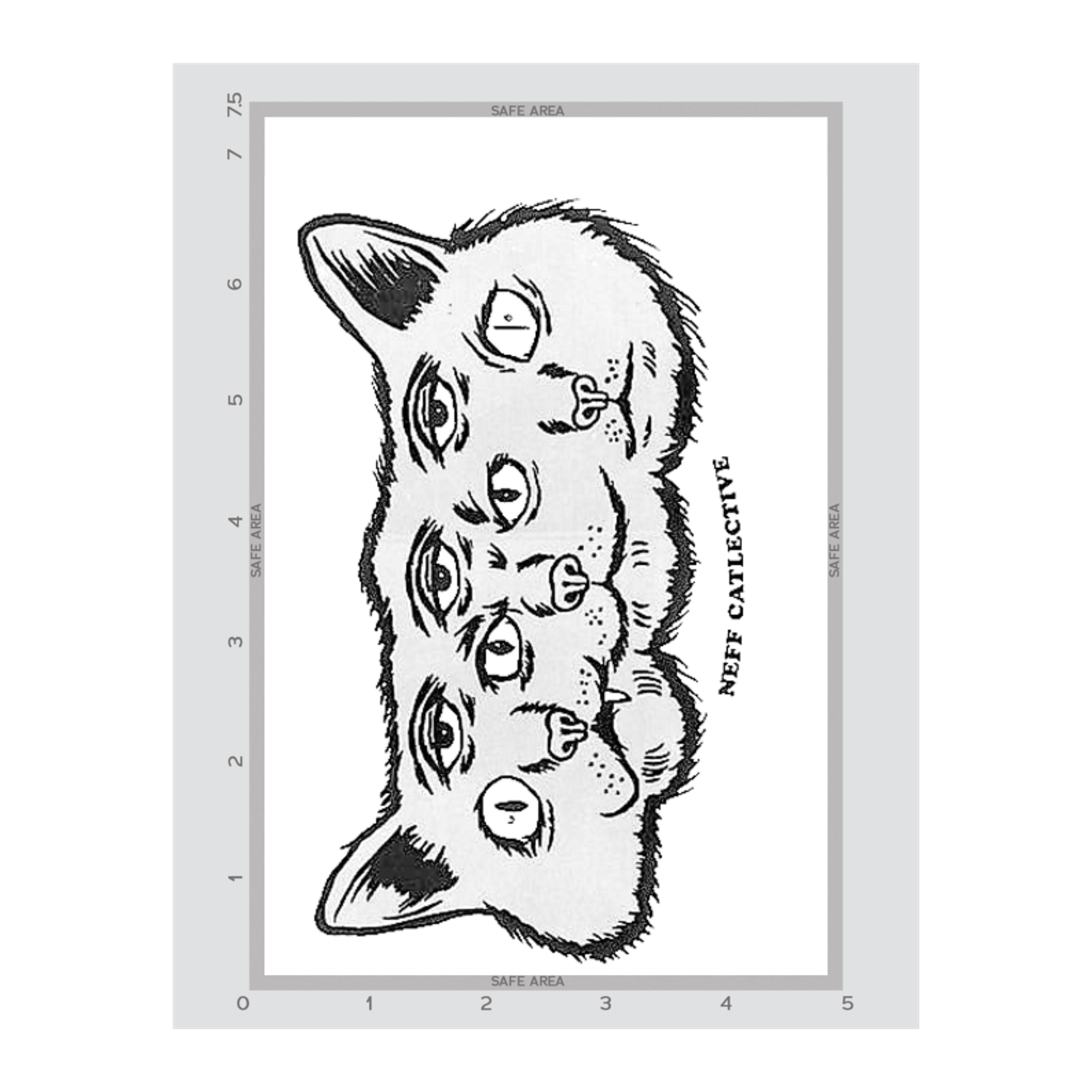 5" x 7.5"