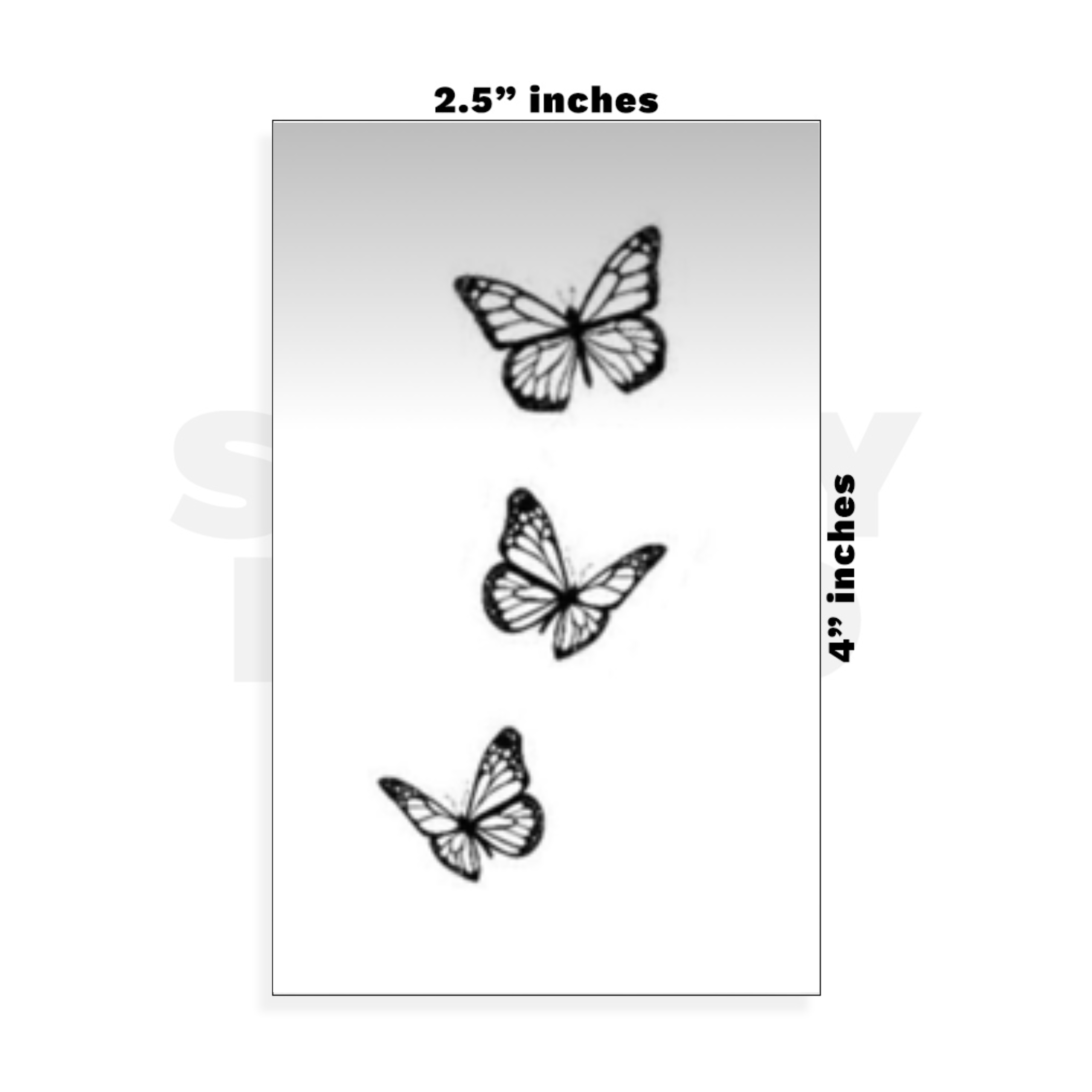 Custom Small - 2.5in x 4in