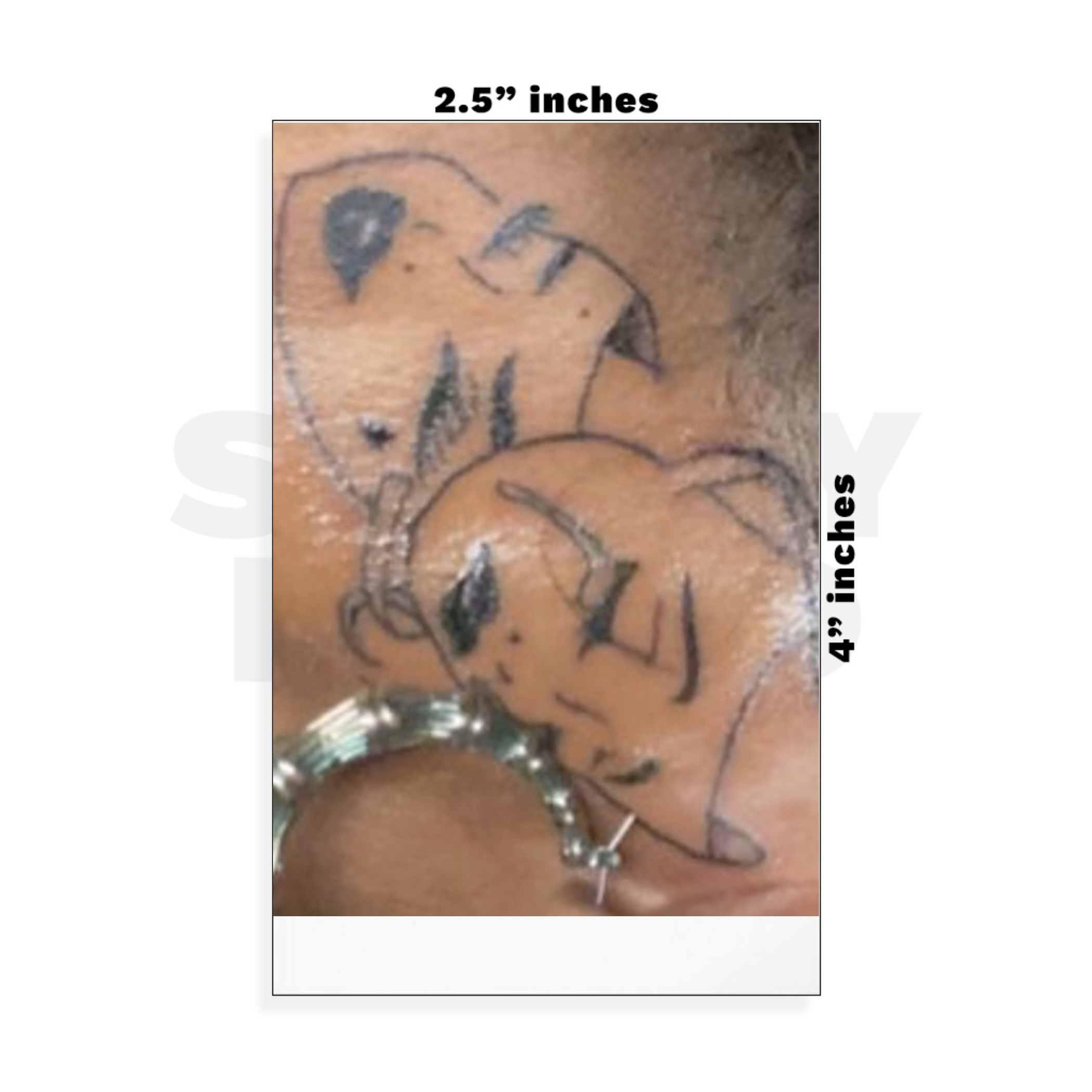 Custom Small - 2.5in x 4in