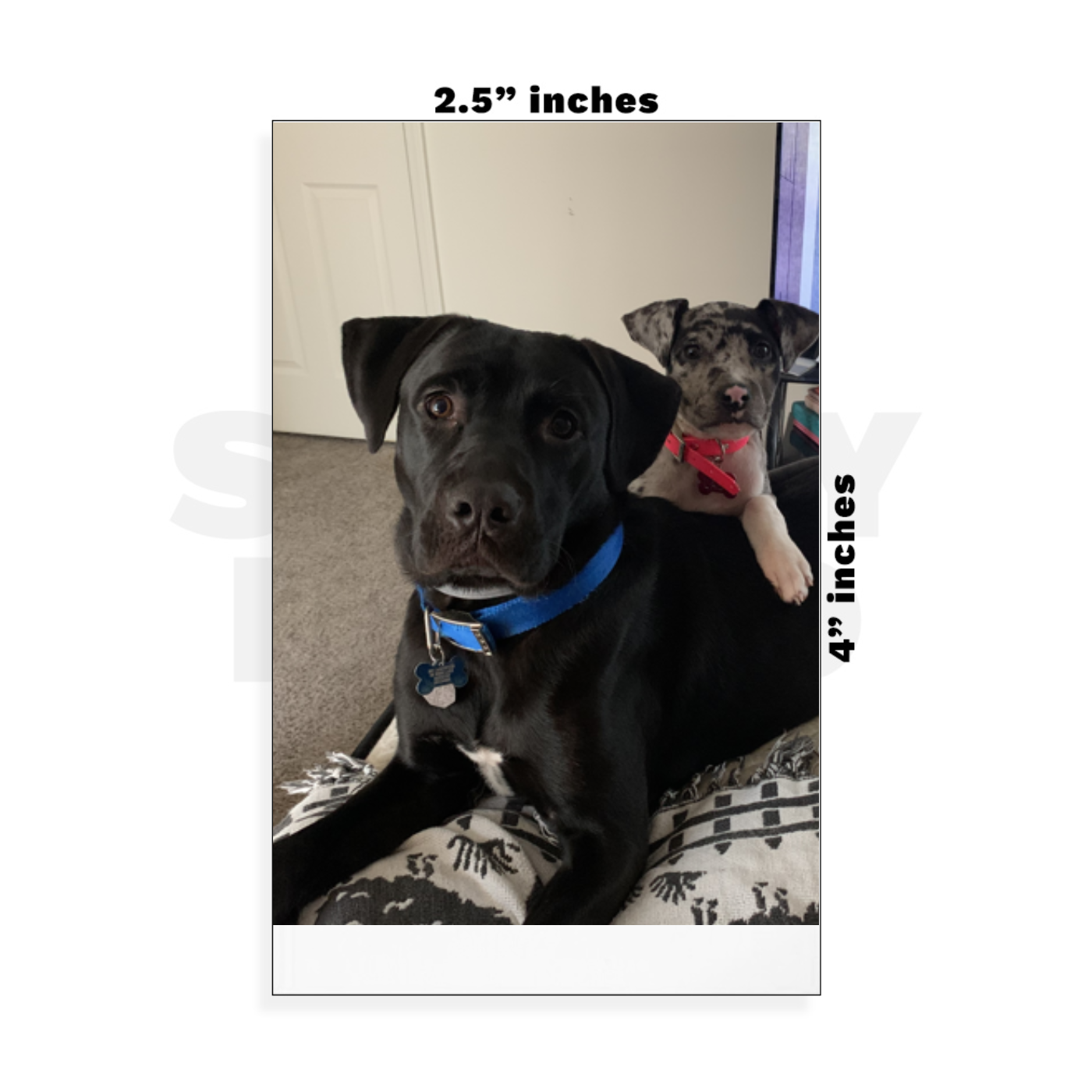 Custom Small - 2.5in x 4in