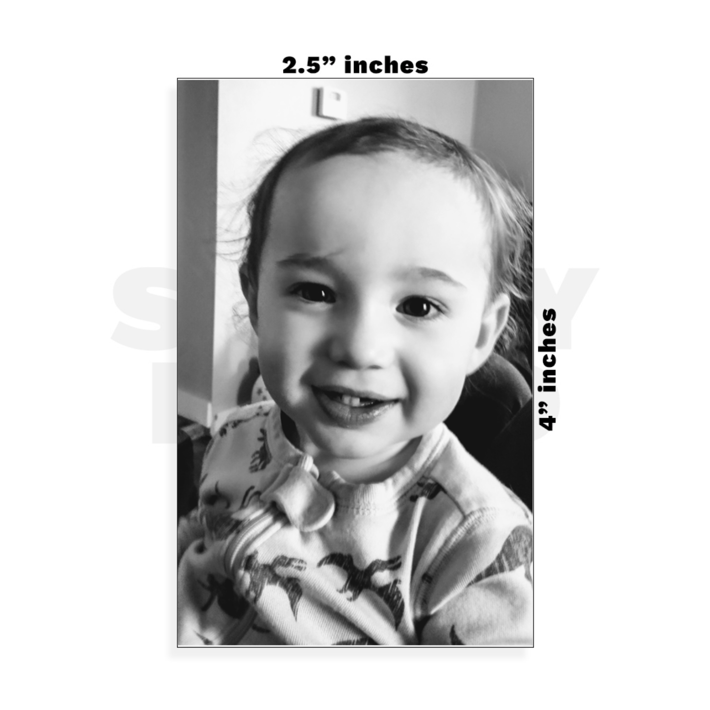 Custom Small - 2.5in x 4in