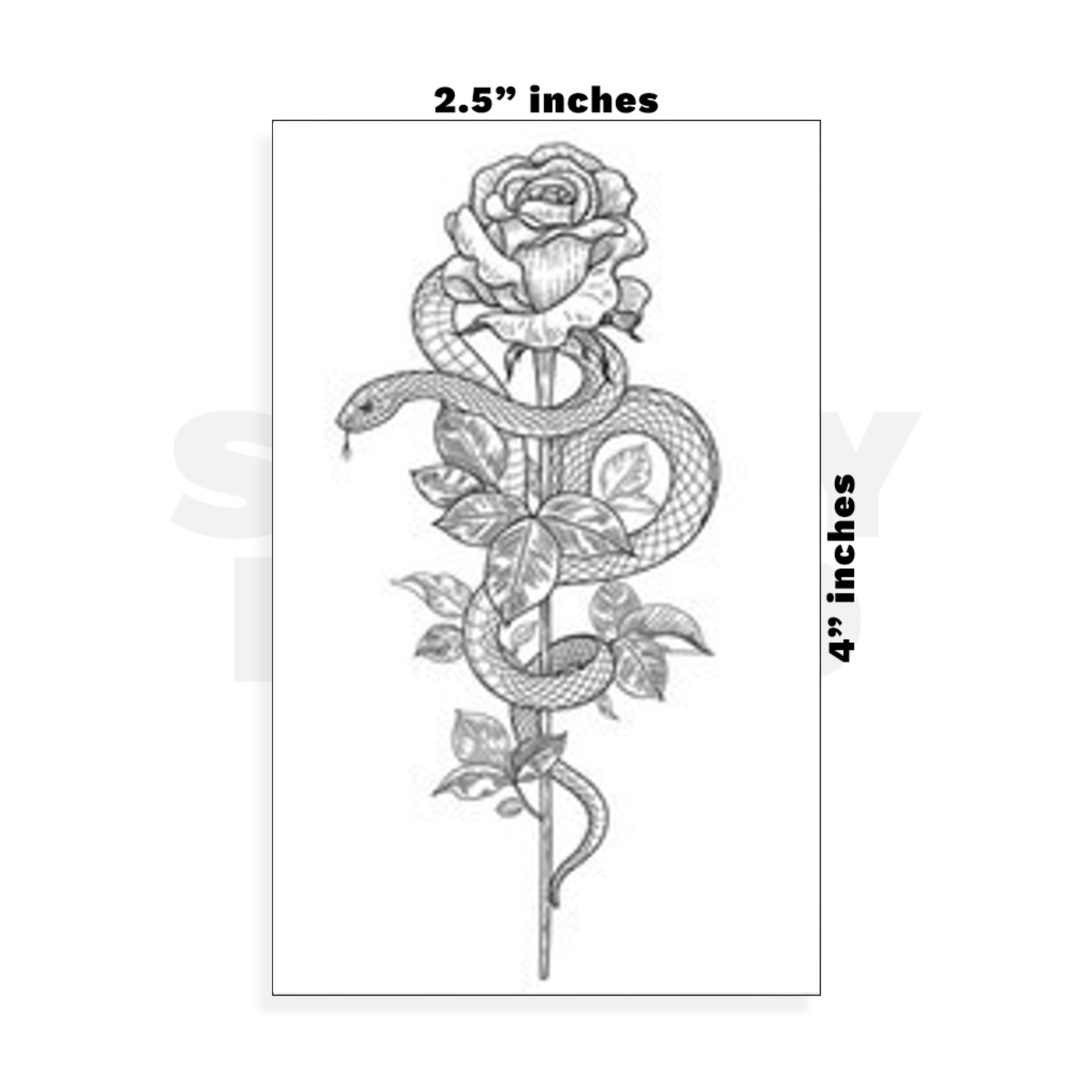 Custom Small - 2.5in x 4in