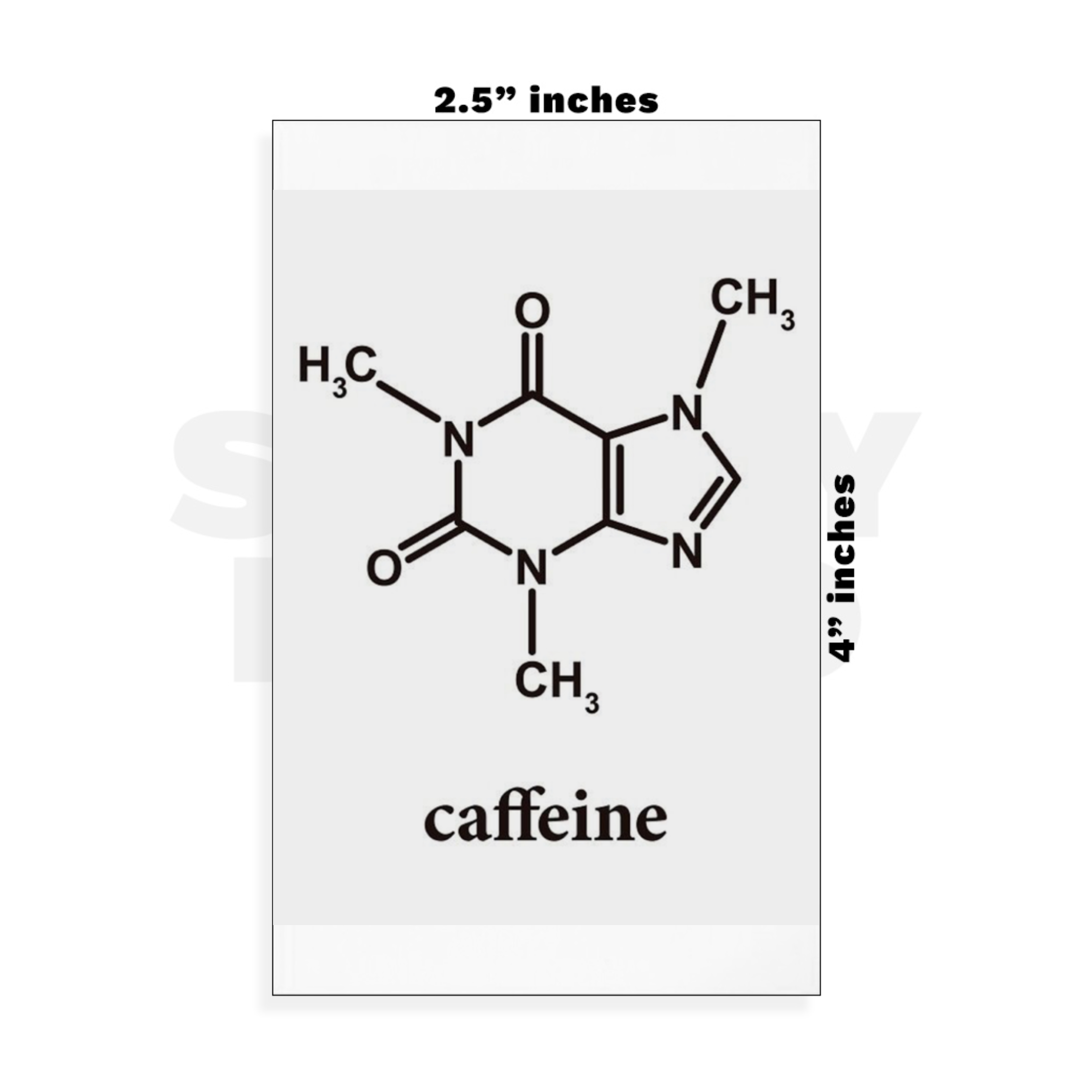 Custom Small - 2.5in x 4in