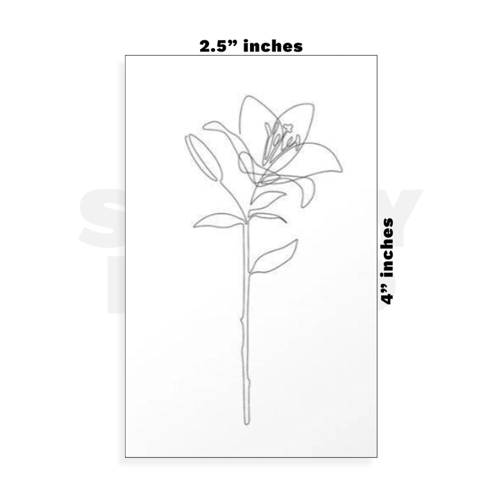 Custom Small - 2.5in x 4in