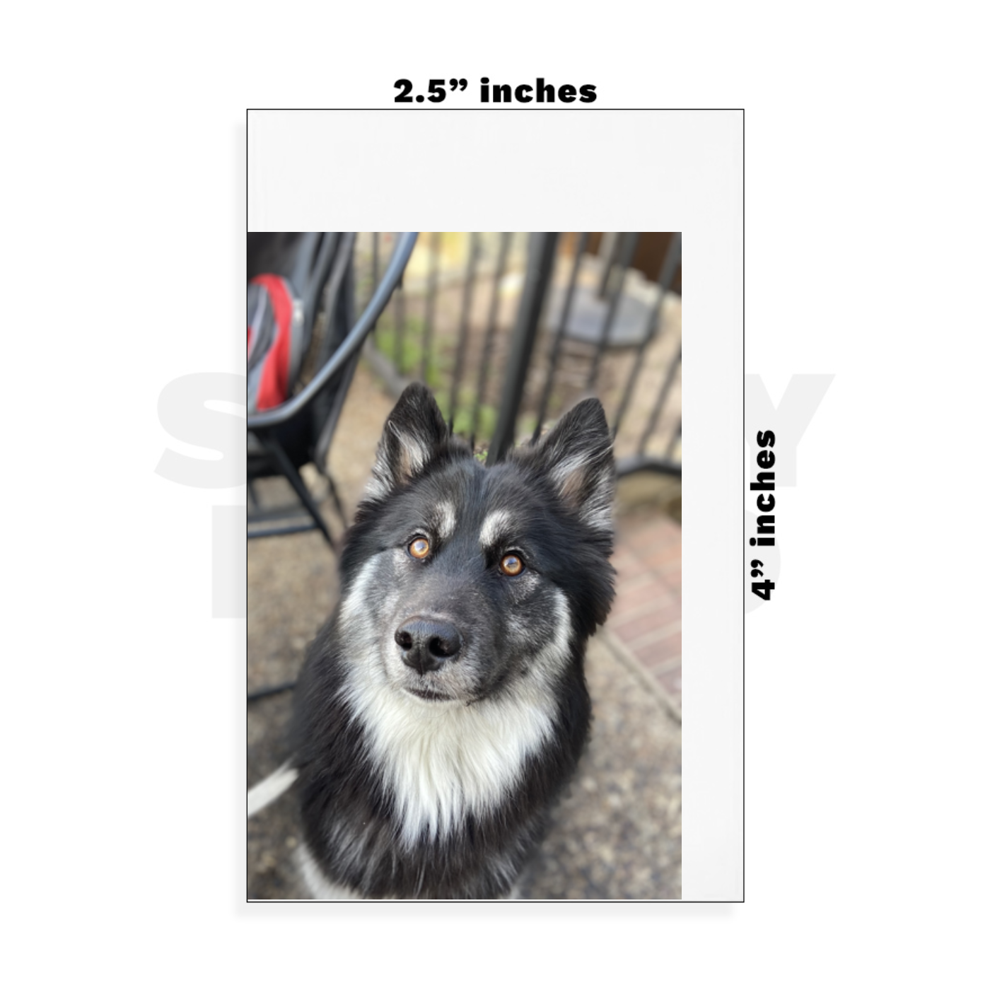 Custom Small - 2.5in x 4in