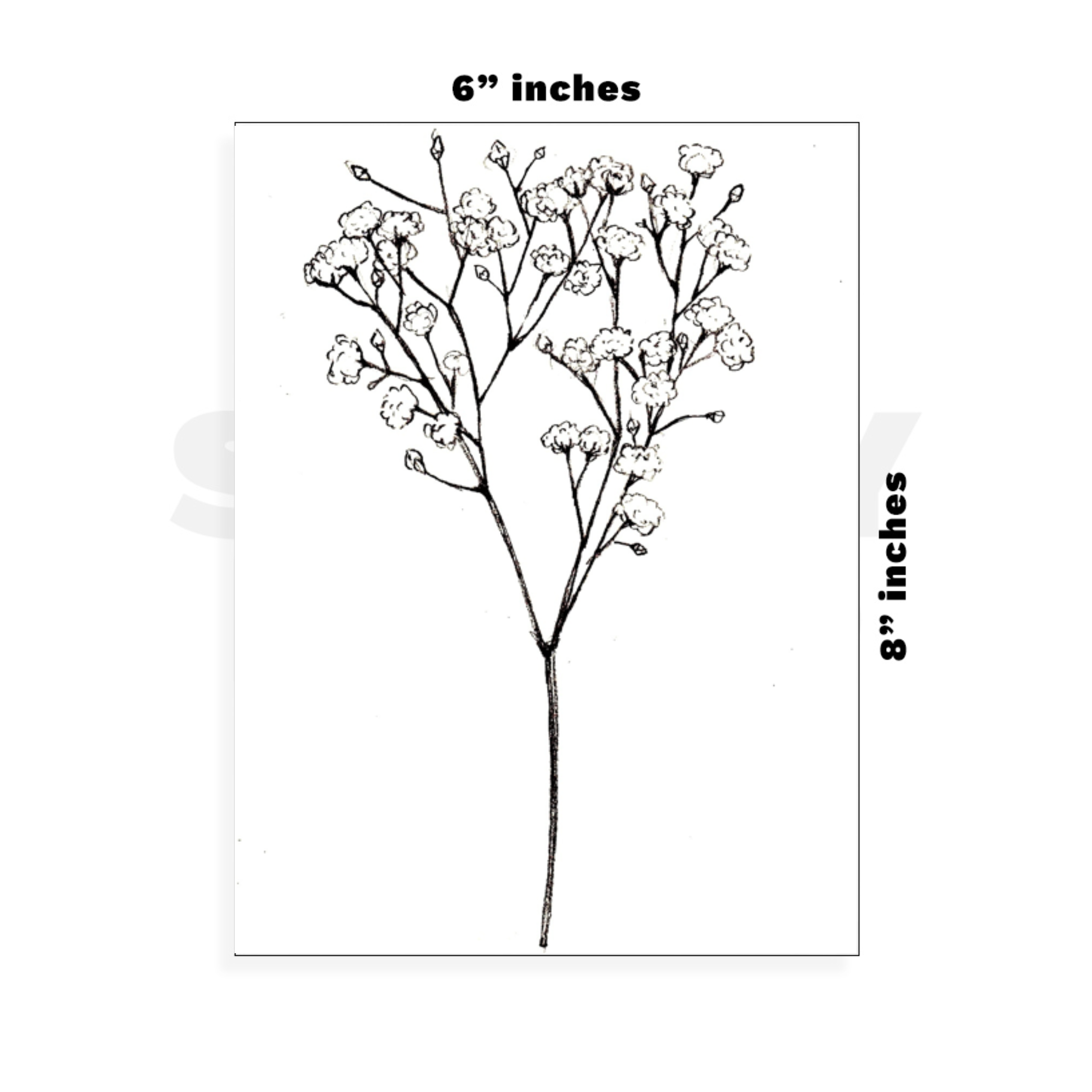 Custom Large - 6in x 8.5in