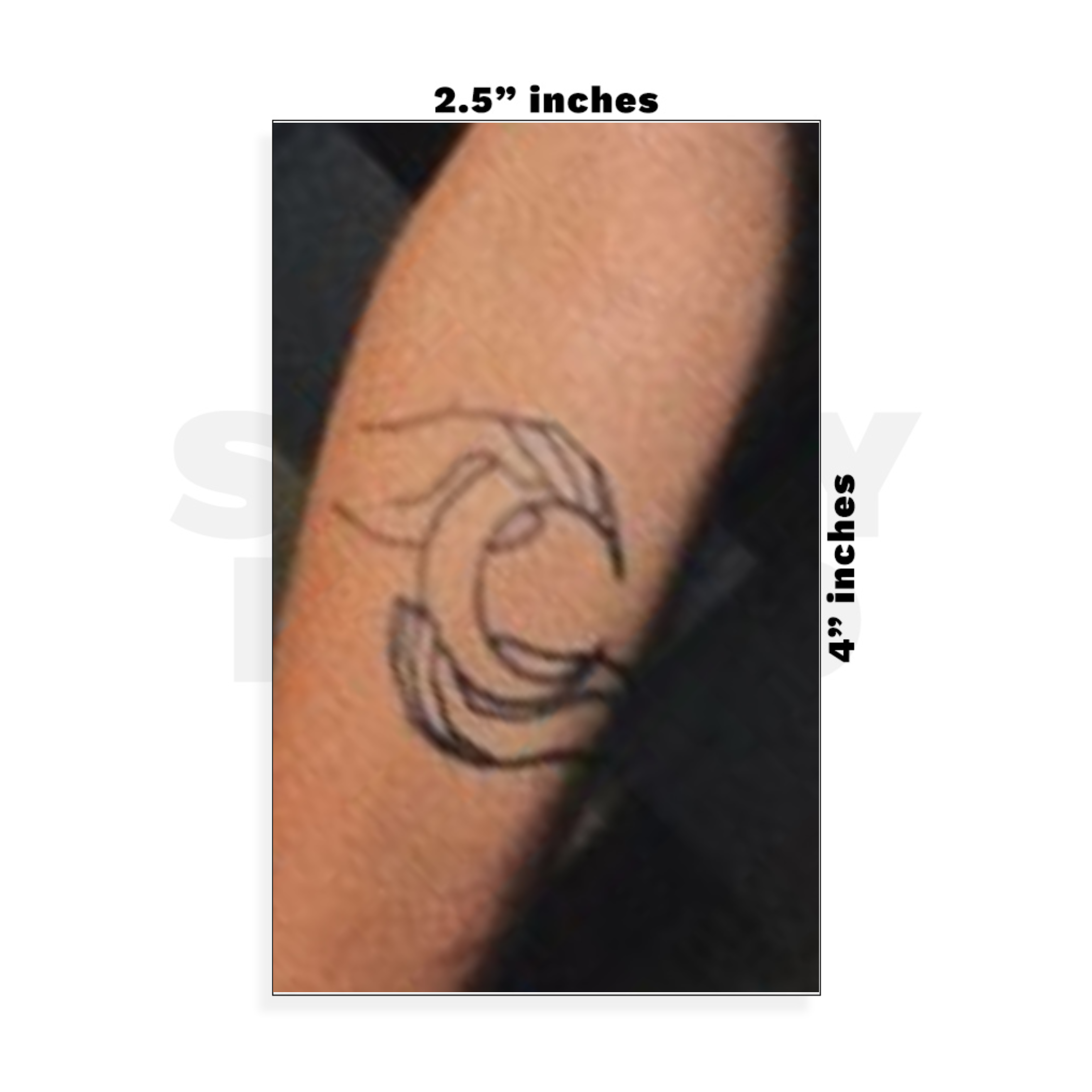 Custom Small - 2.5in x 4in