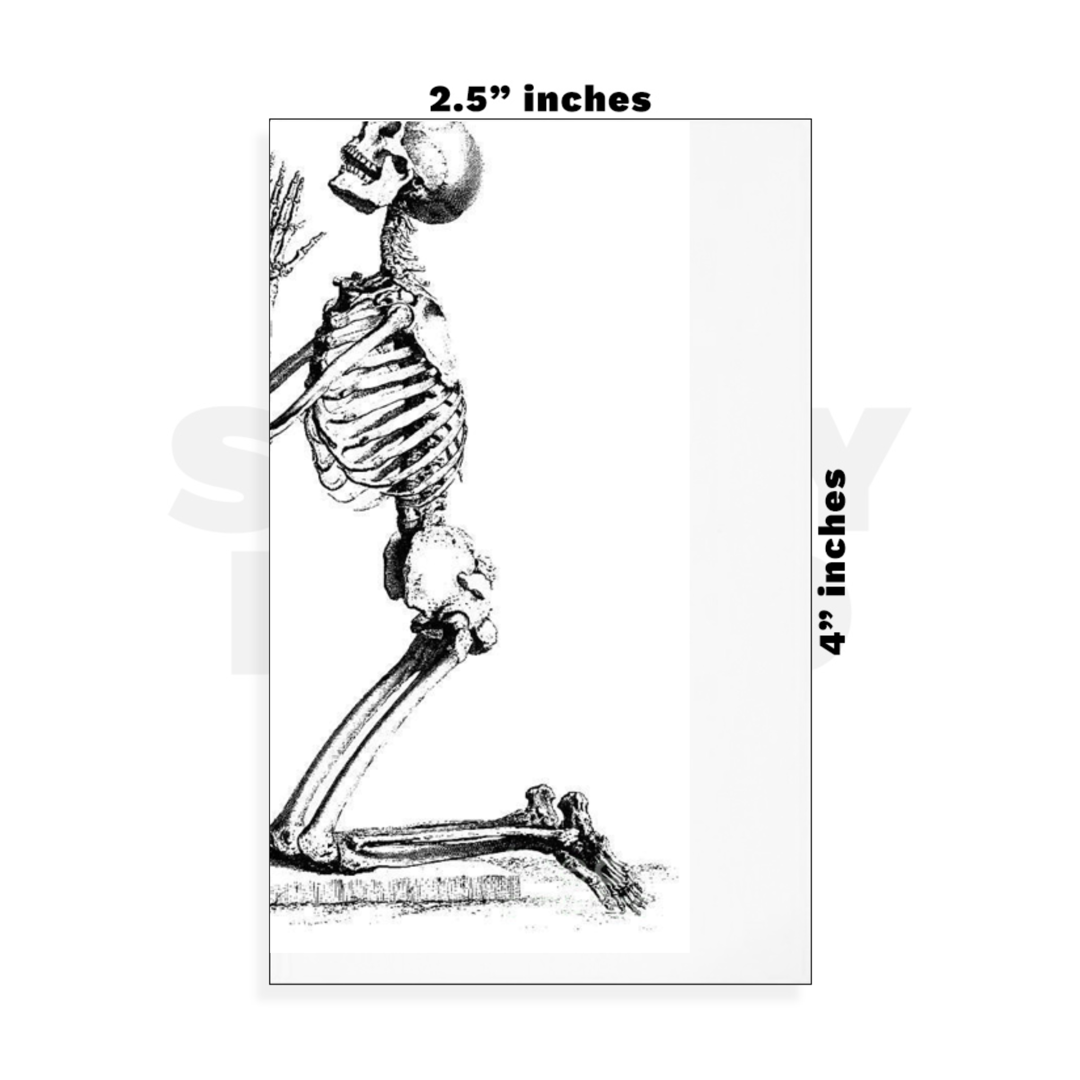 Custom Small - 2.5in x 4in