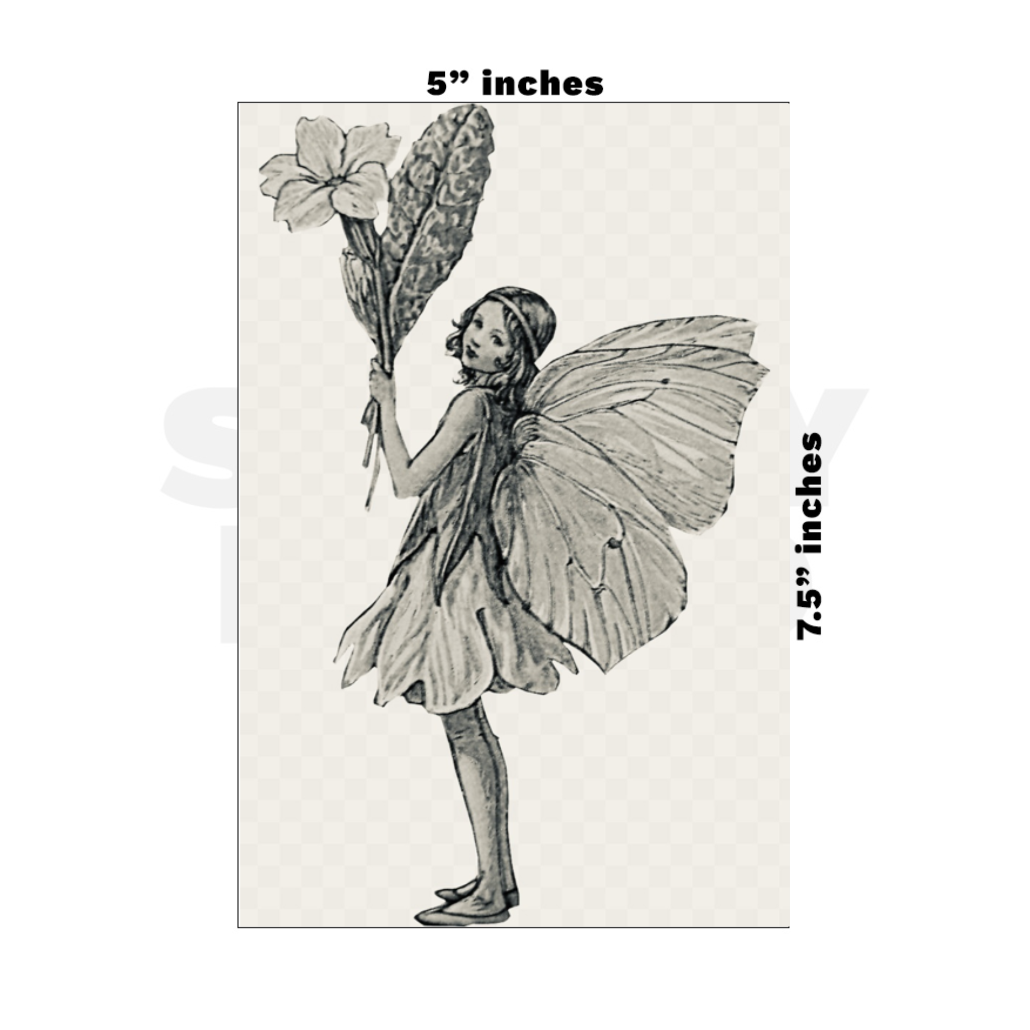 Custom Medium - 5in x 7.5in