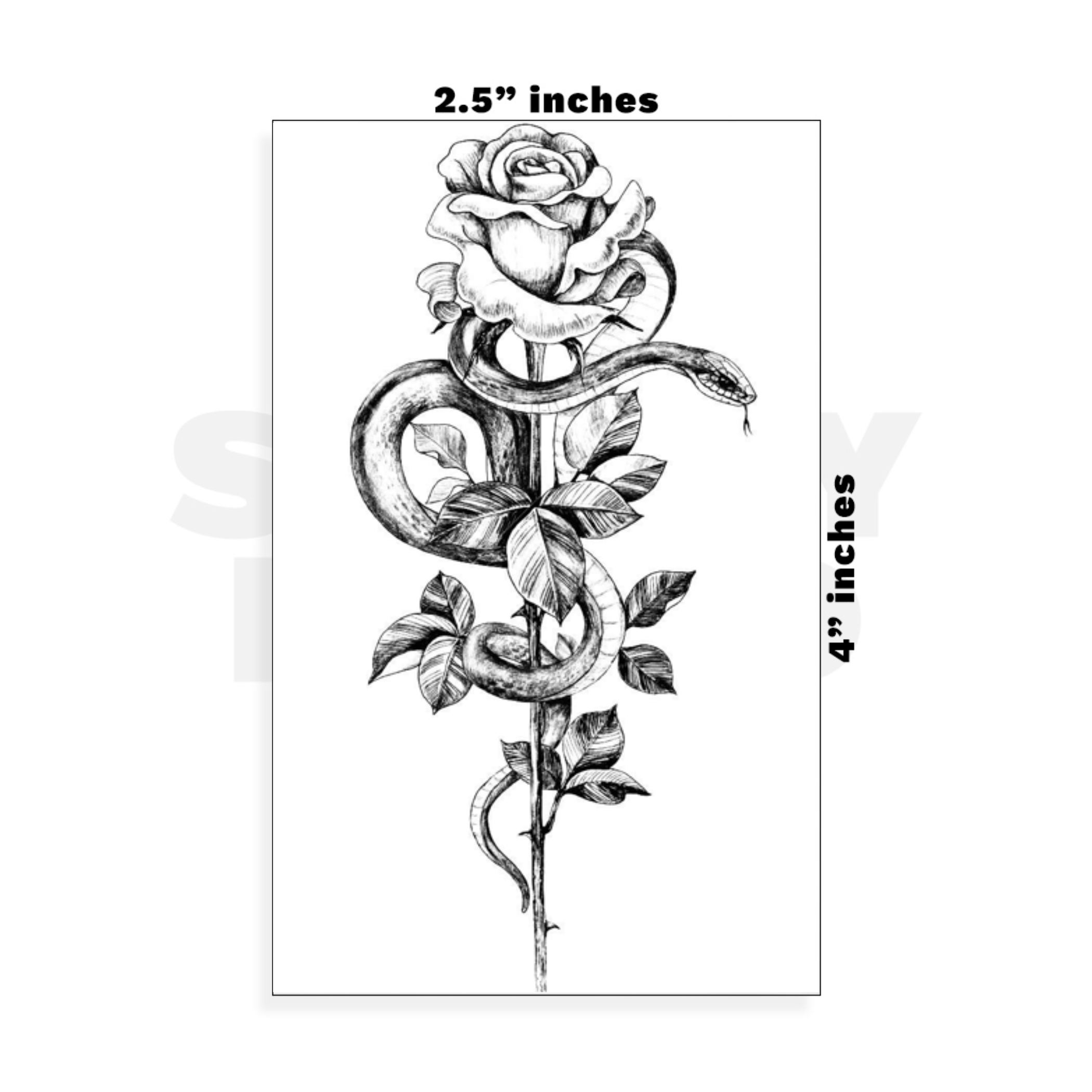 Custom Small - 2.5in x 4in