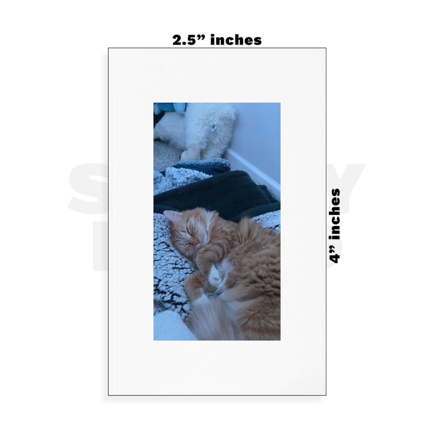 Custom Small - 2.5in x 4in