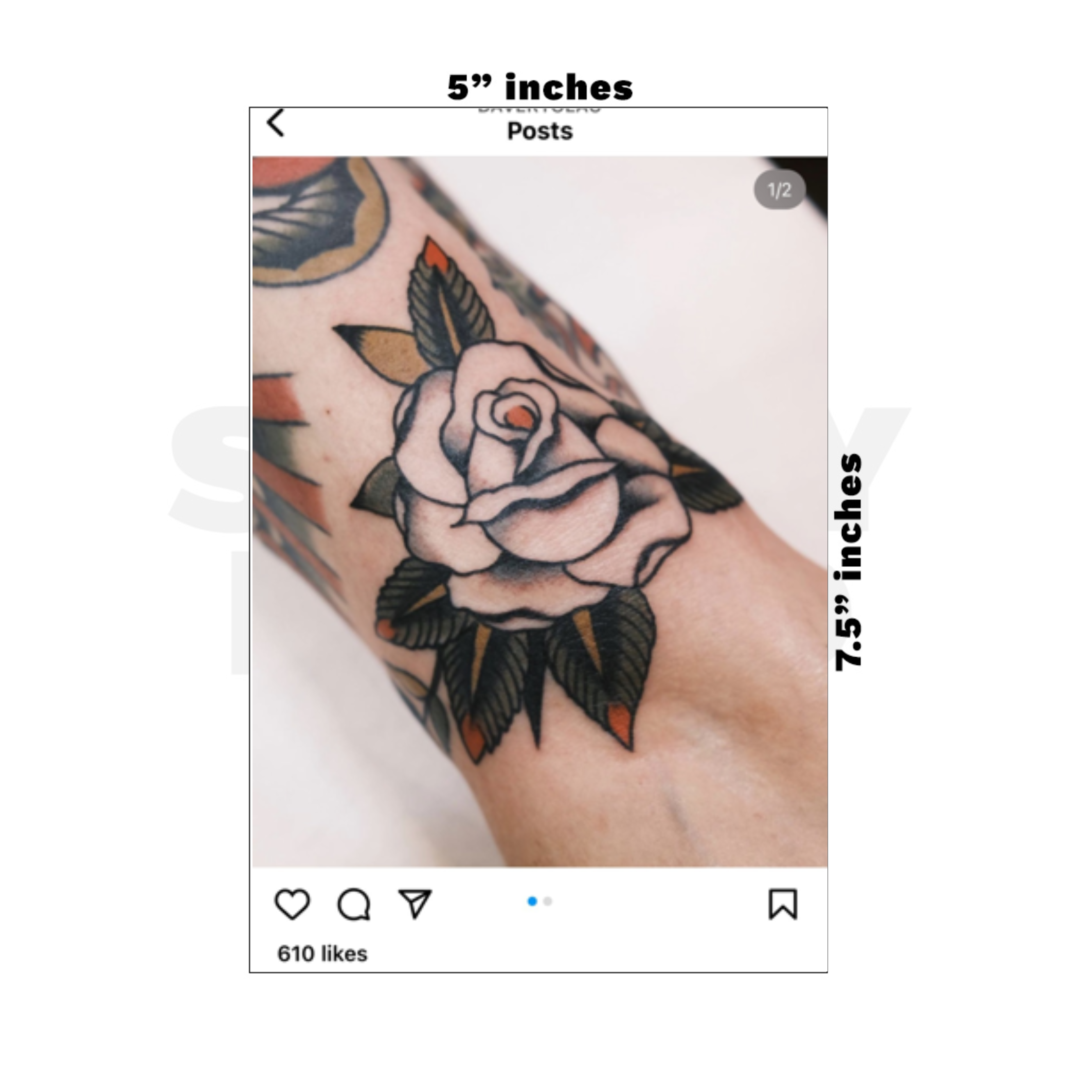 Custom Medium - 5in x 7.5in