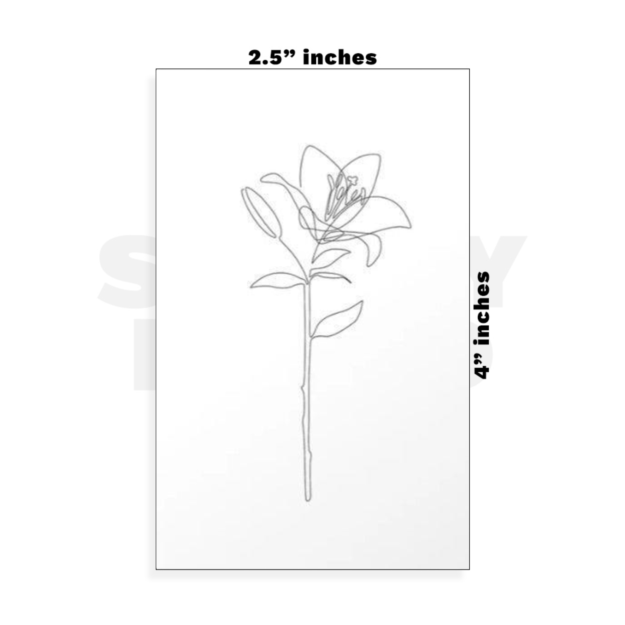 Custom Small - 2.5in x 4in