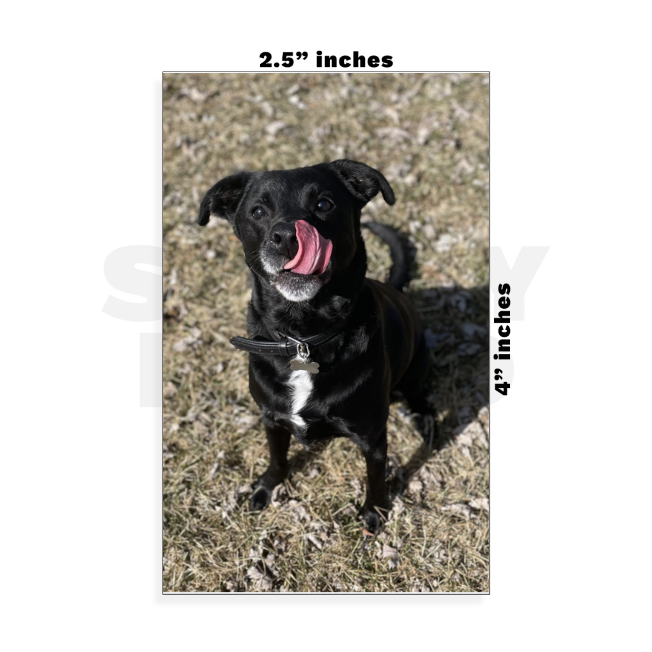 Custom Small - 2.5in x 4in