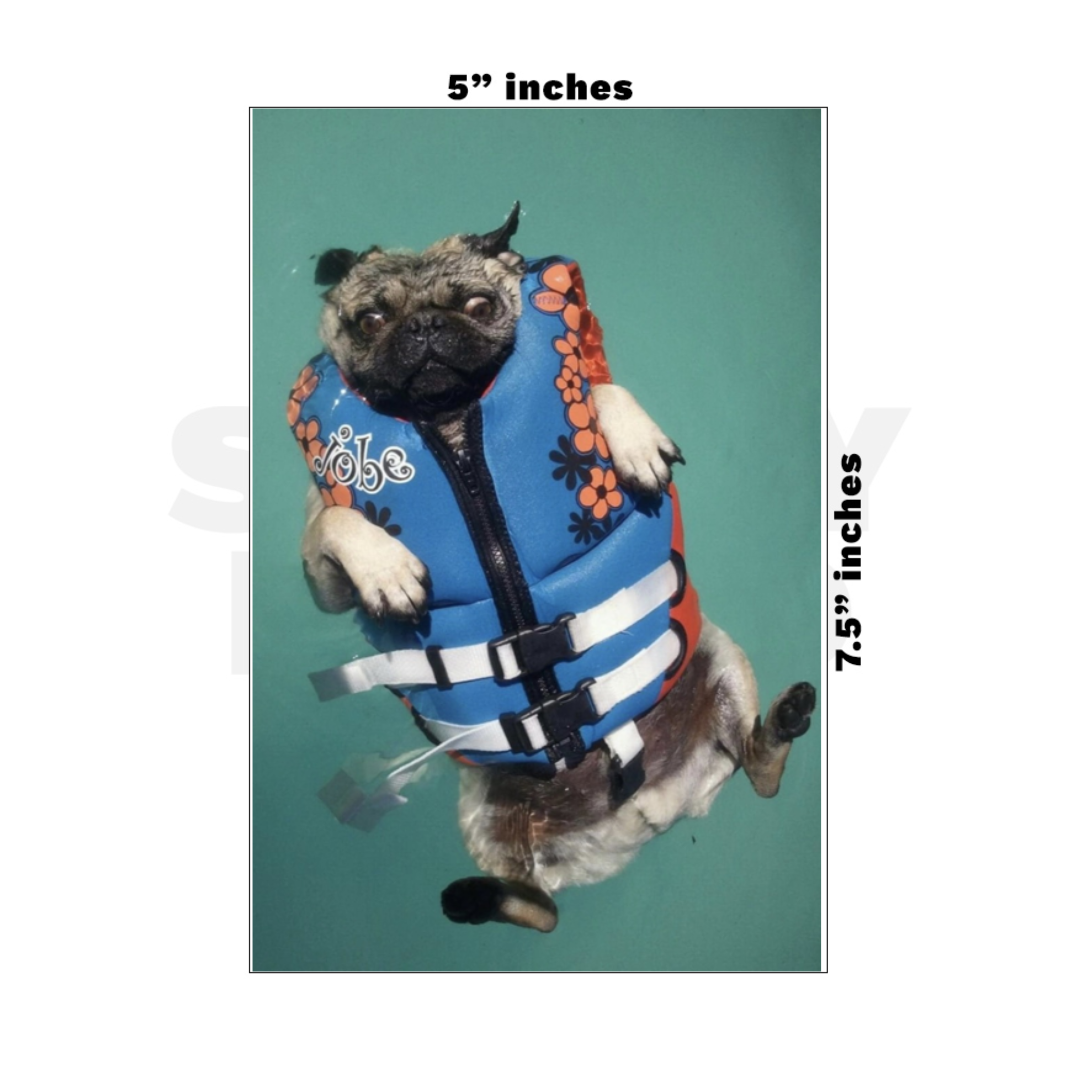 Custom Medium - 5in x 7.5in