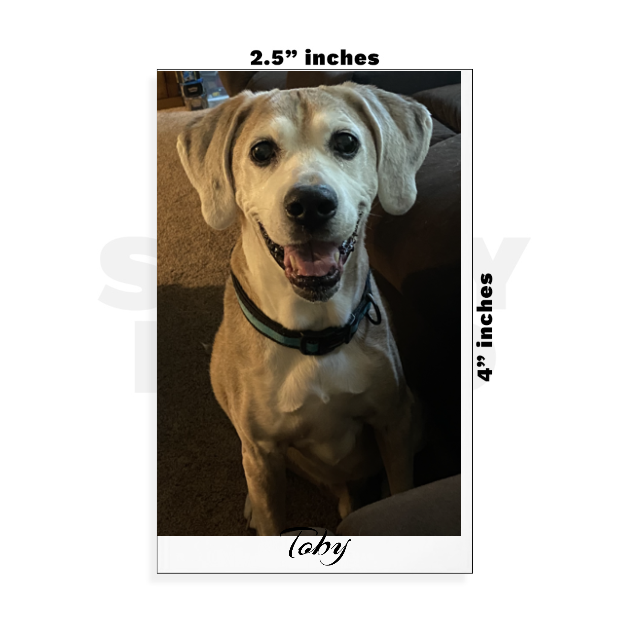 Custom Small - 2.5in x 4in