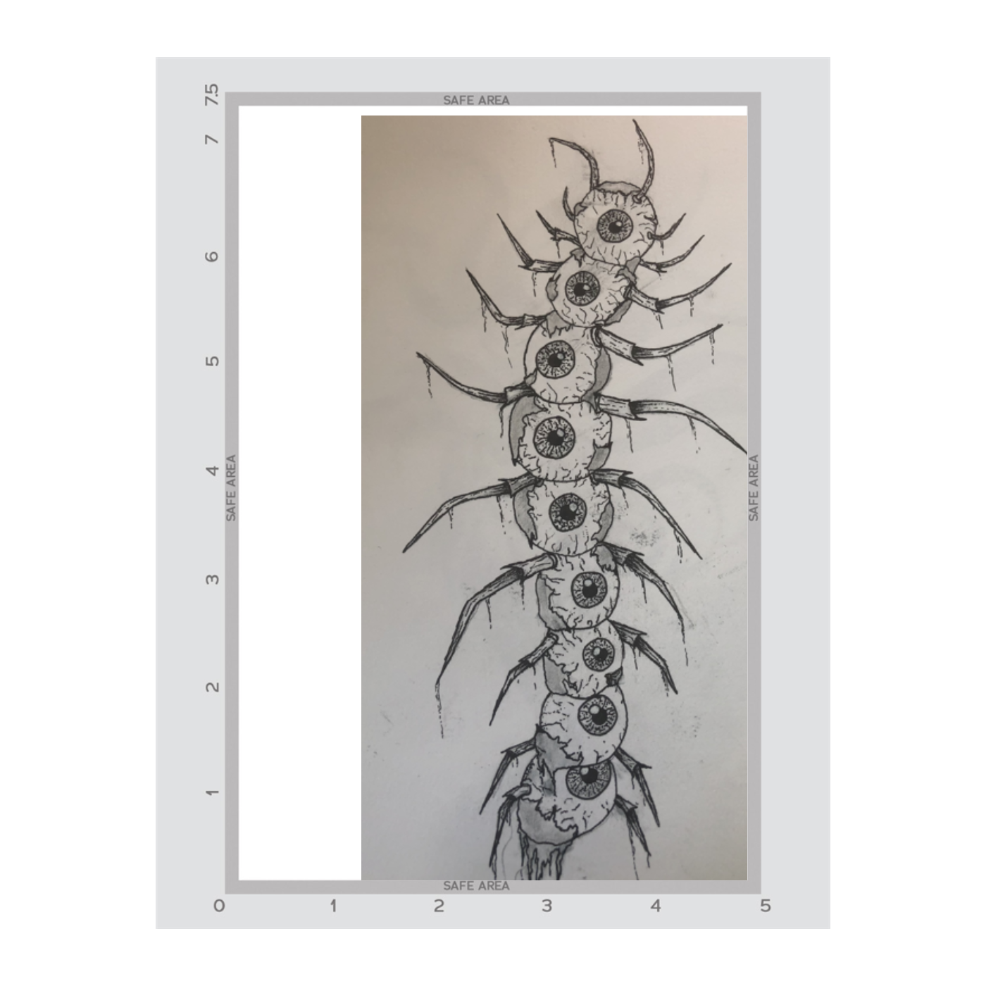 5" x 7.5"
