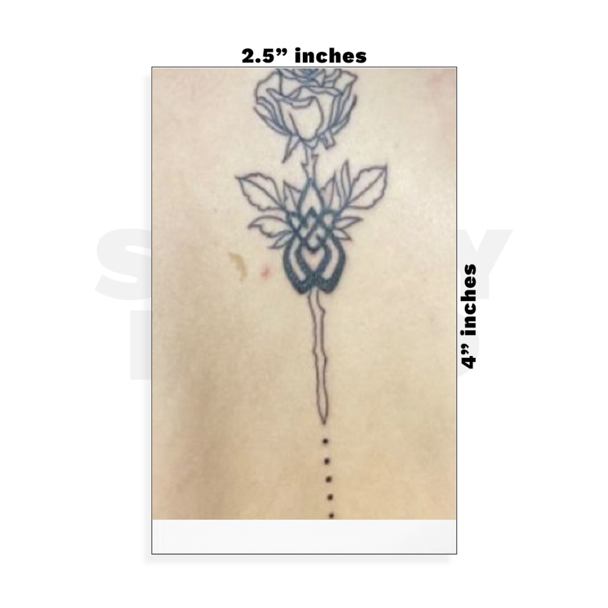 Custom Small - 2.5in x 4in