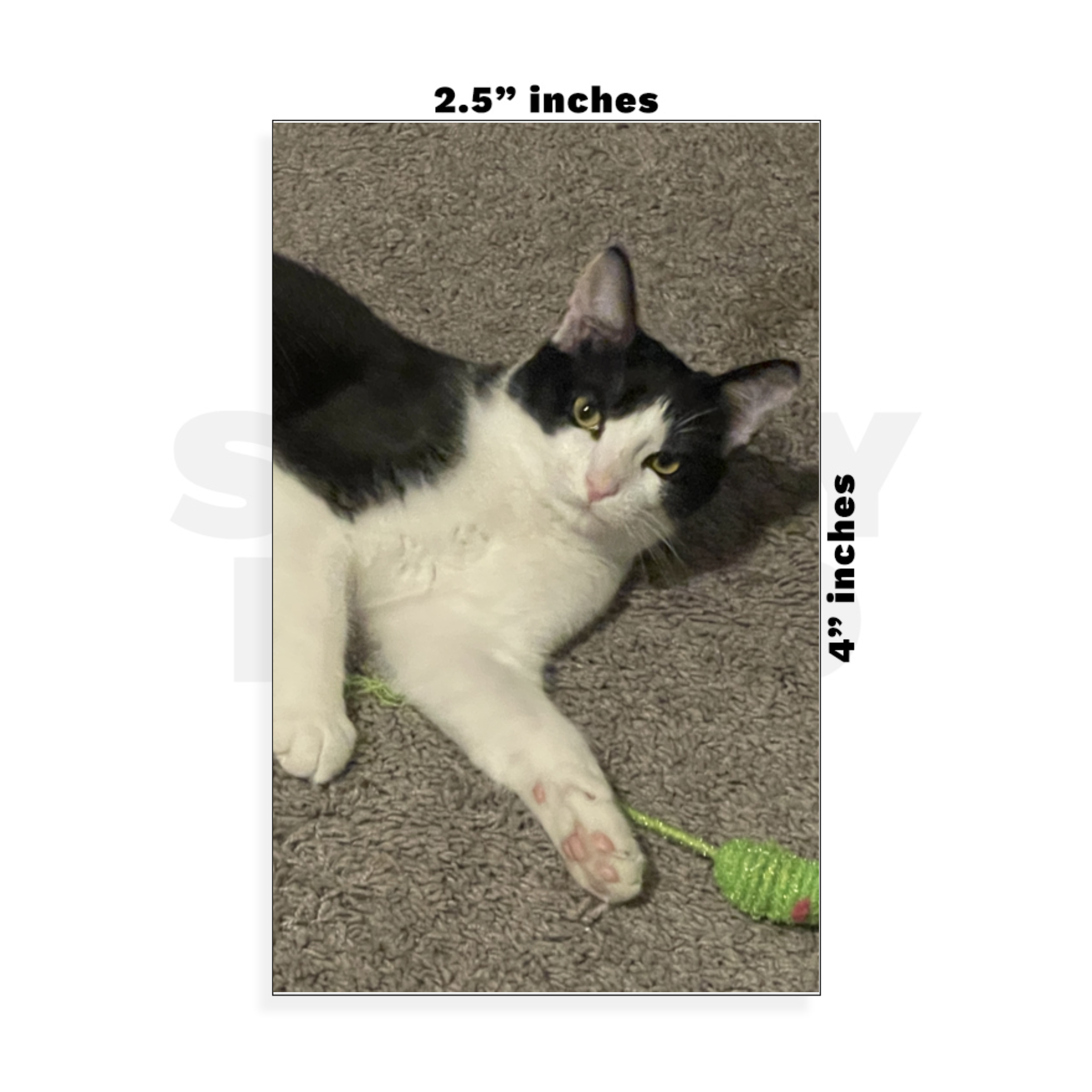 Custom Small - 2.5in x 4in