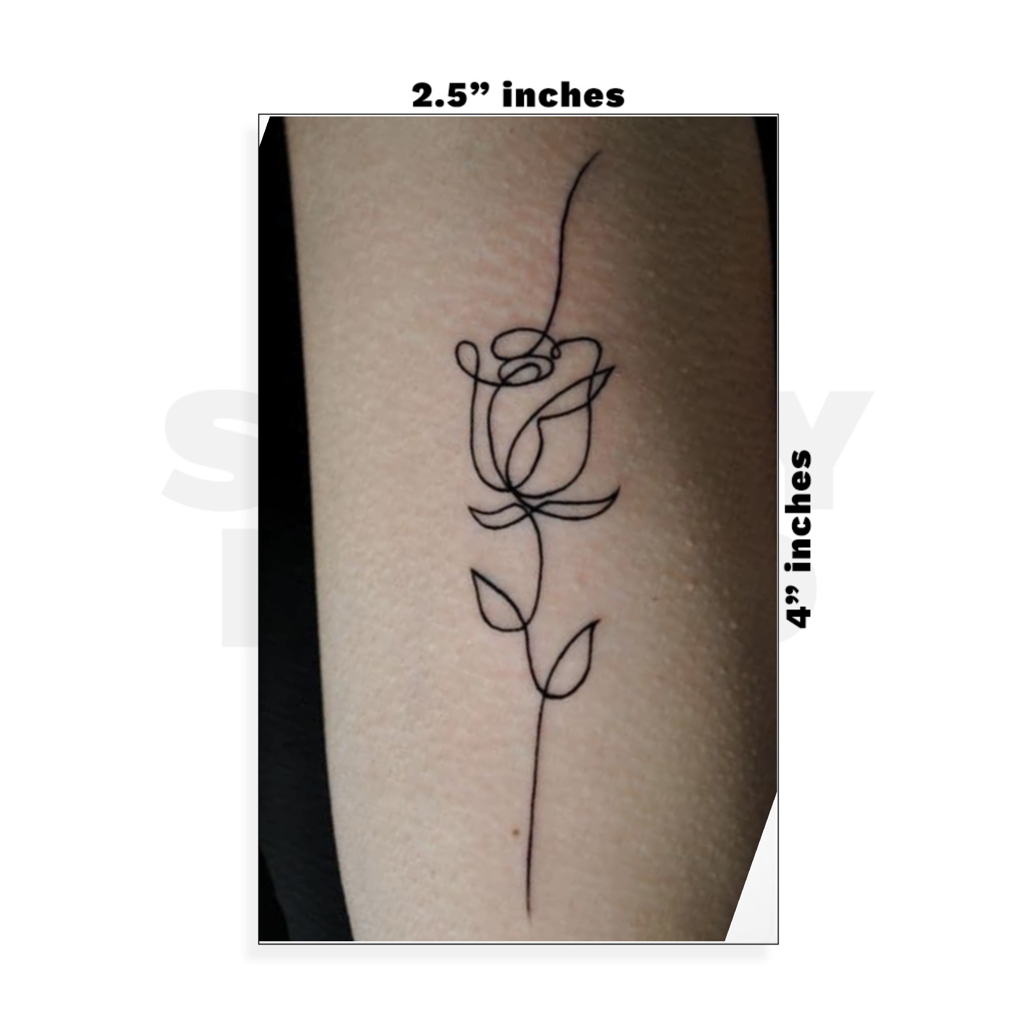 Custom Small - 2.5in x 4in