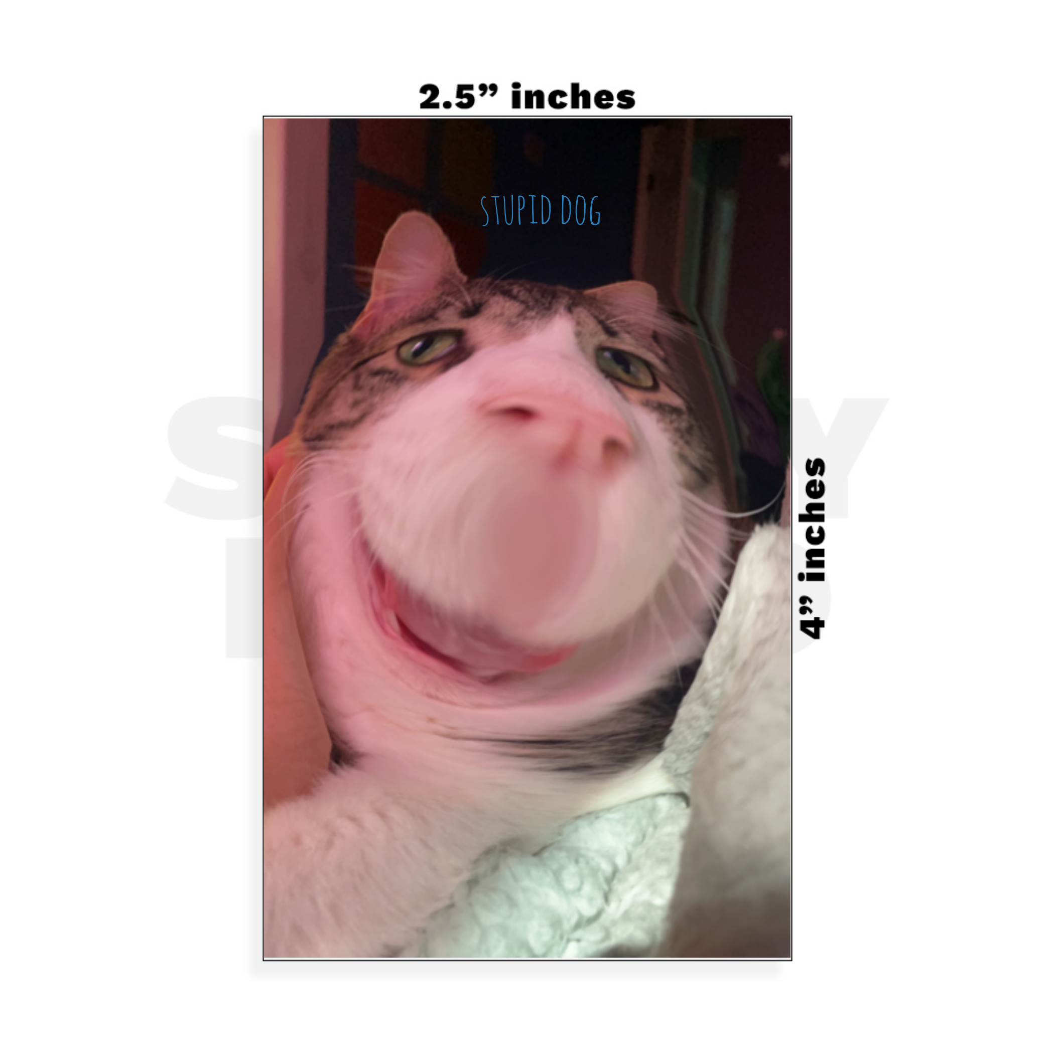 Custom Small - 2.5in x 4in