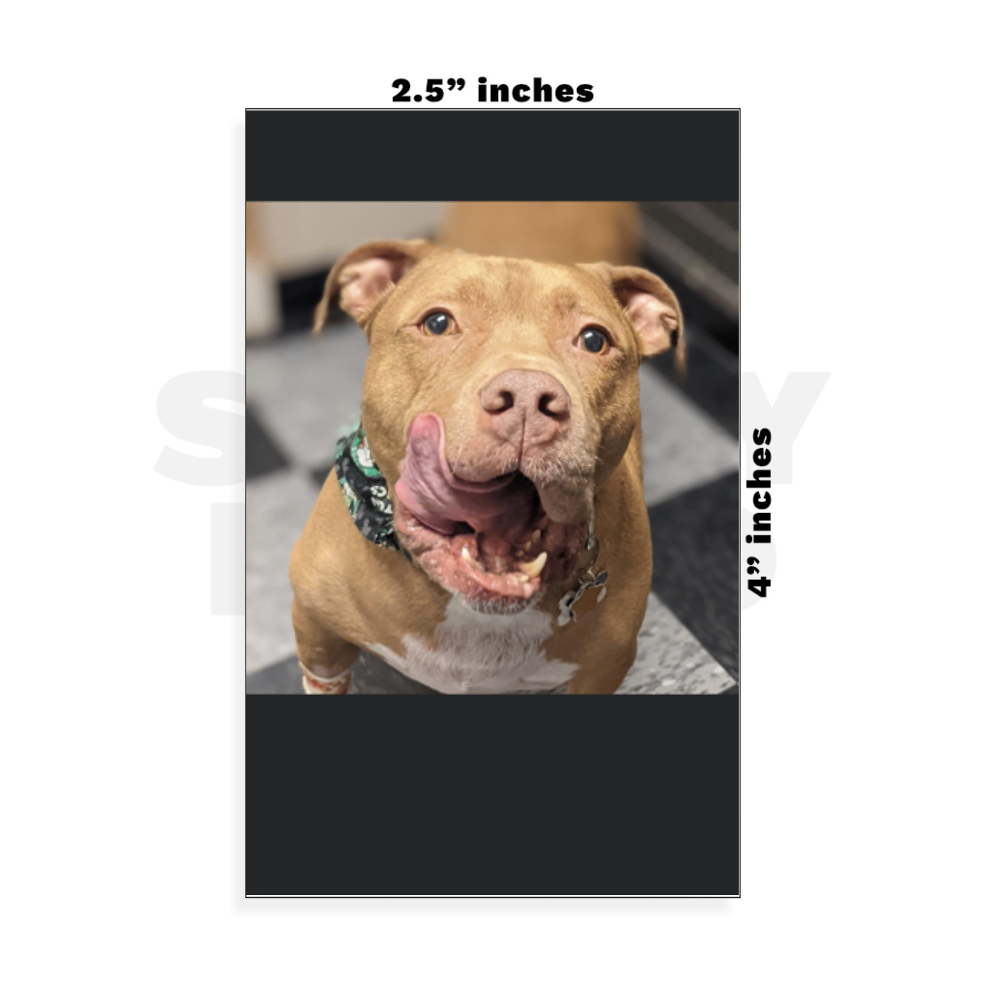 Custom Small - 2.5in x 4in