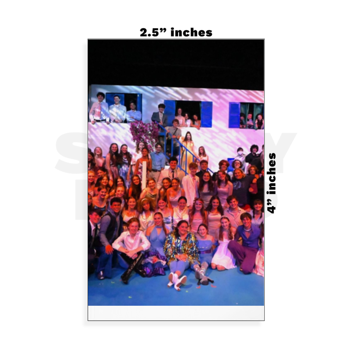 Custom Small - 2.5in x 4in