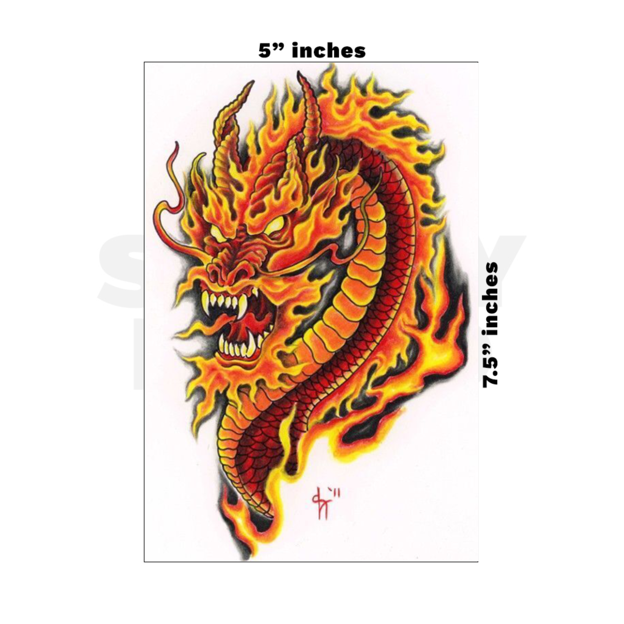 Custom Medium - 5in x 7.5in