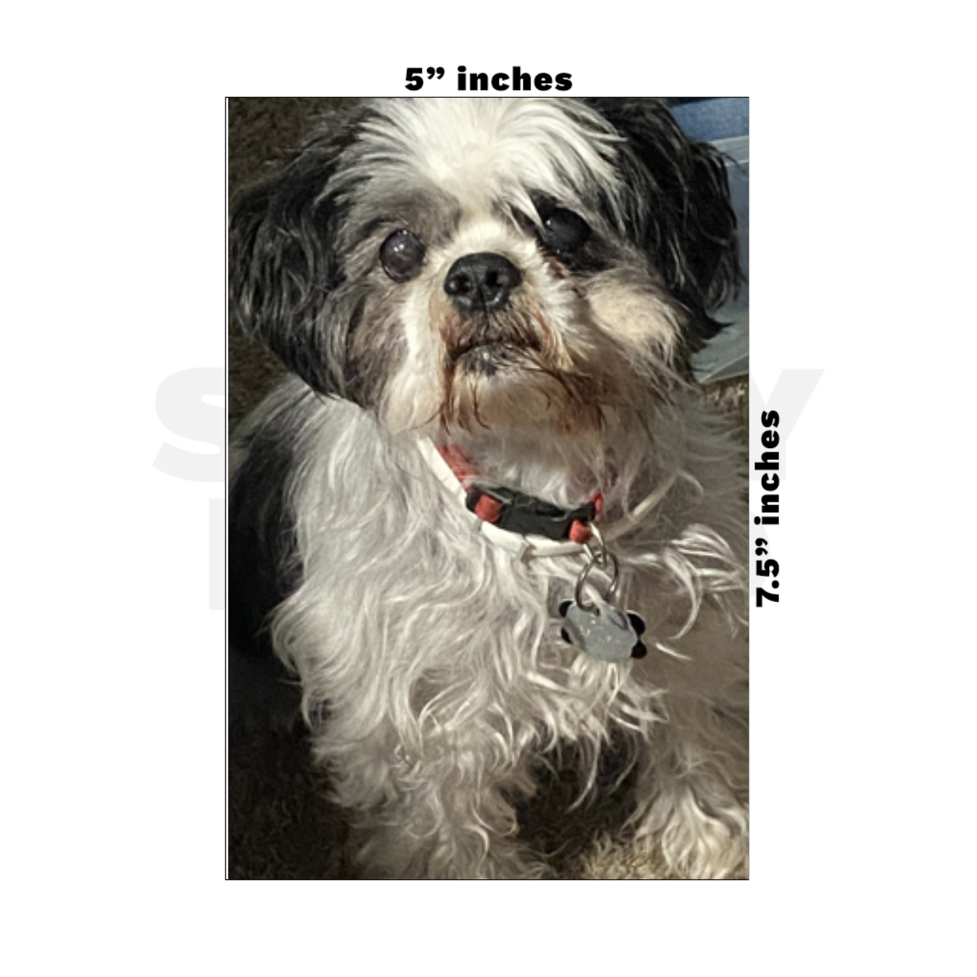 Custom Medium - 5in x 7.5in