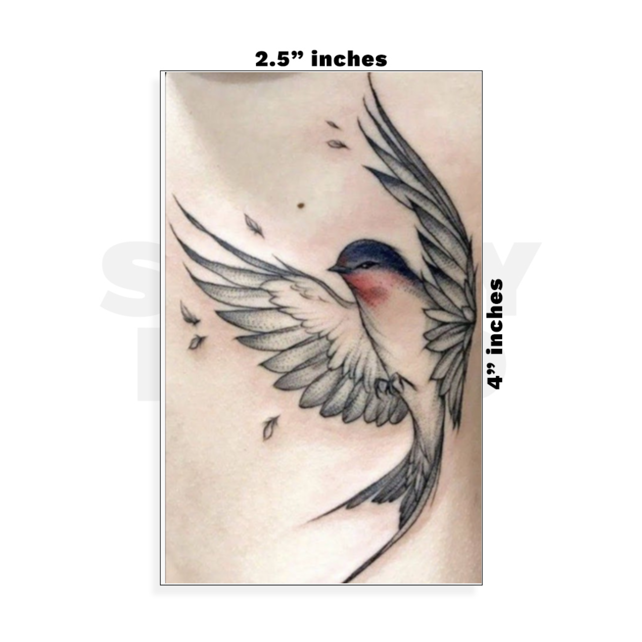 Custom Small - 2.5in x 4in