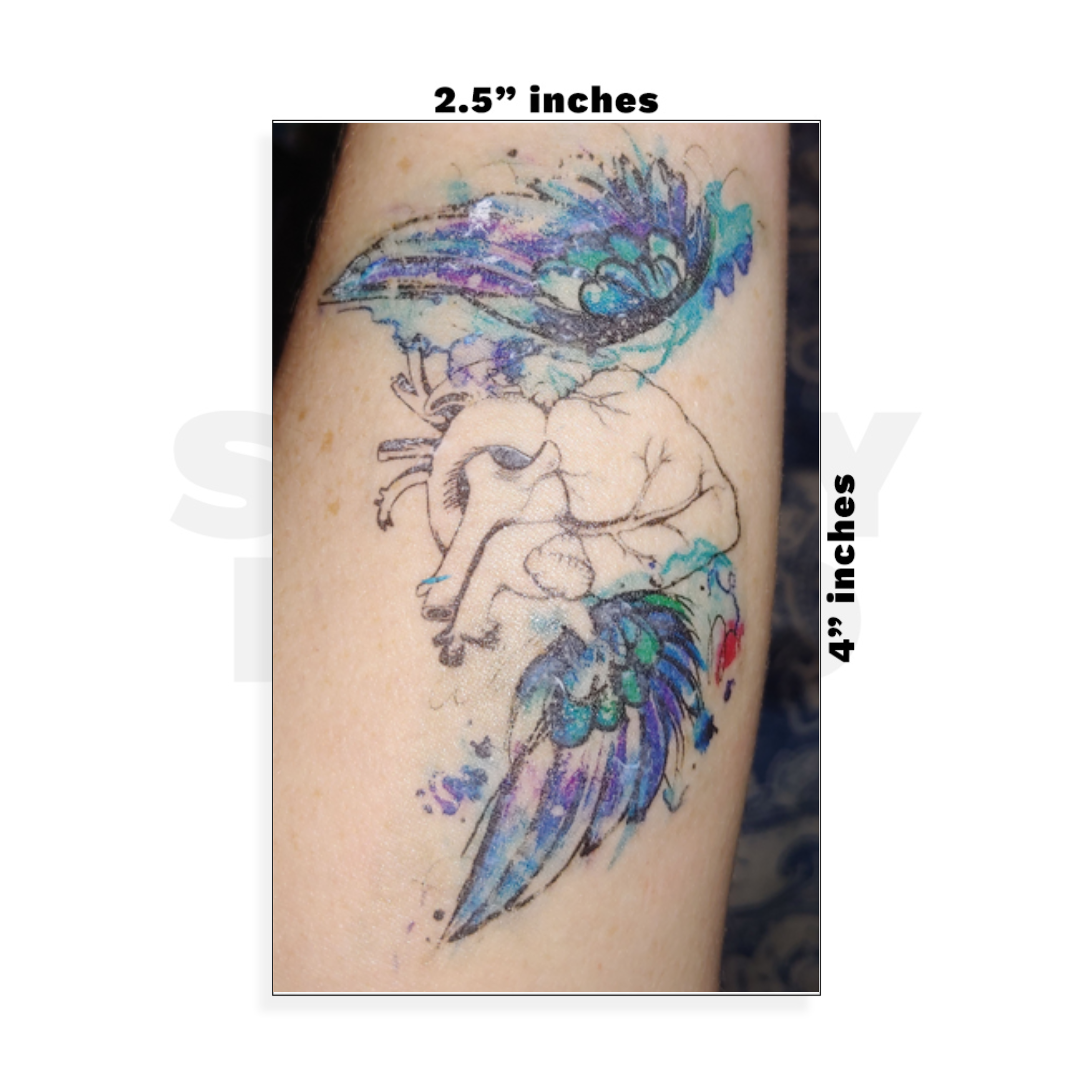 Custom Small - 2.5in x 4in