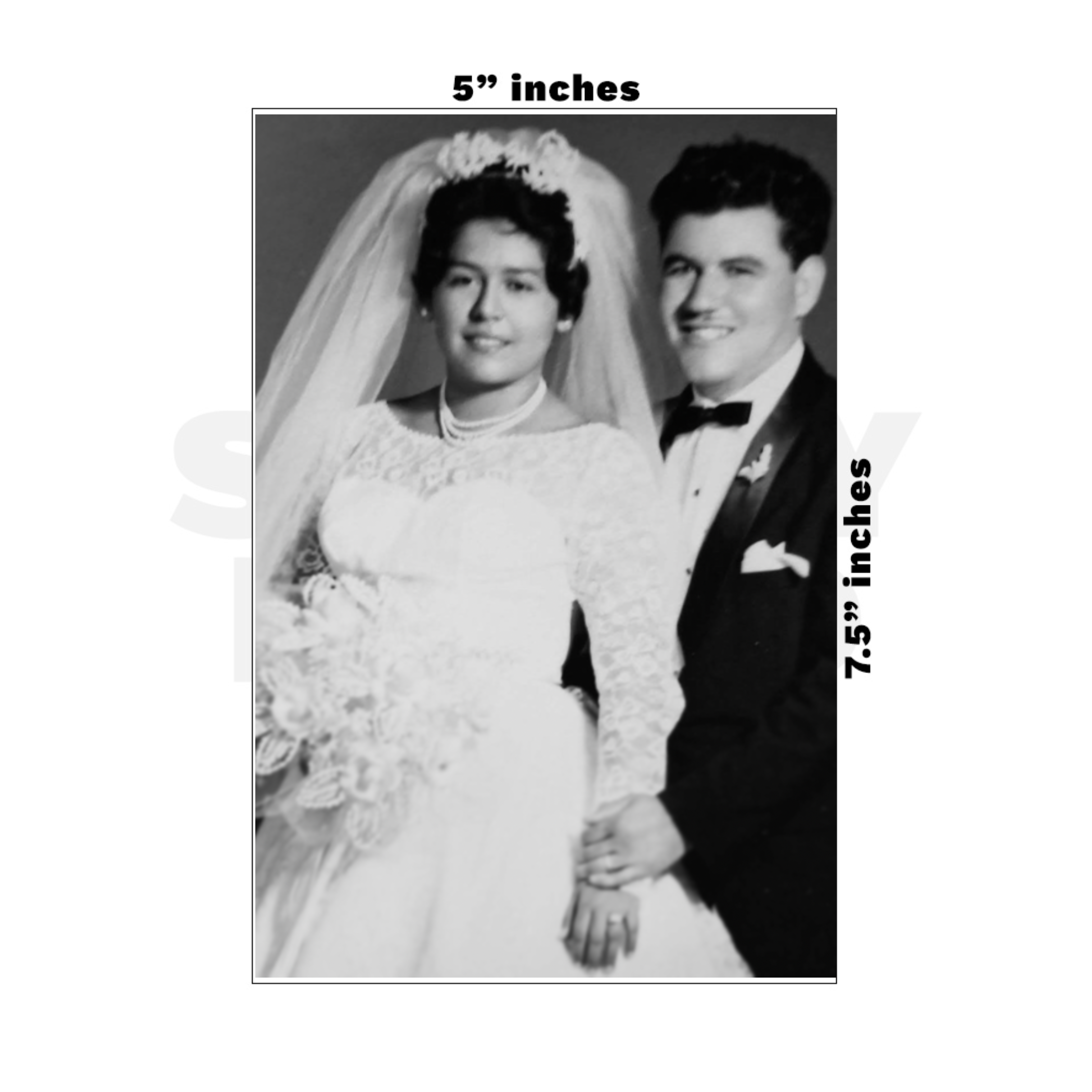 Custom Medium - 5in x 7.5in