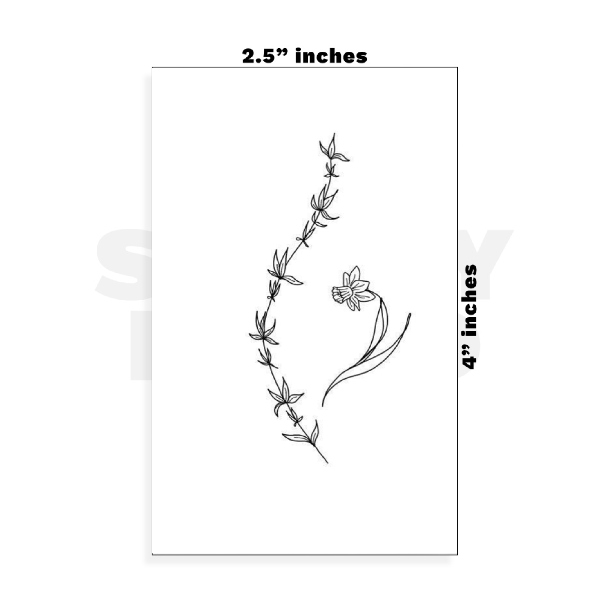 Custom Small - 2.5in x 4in