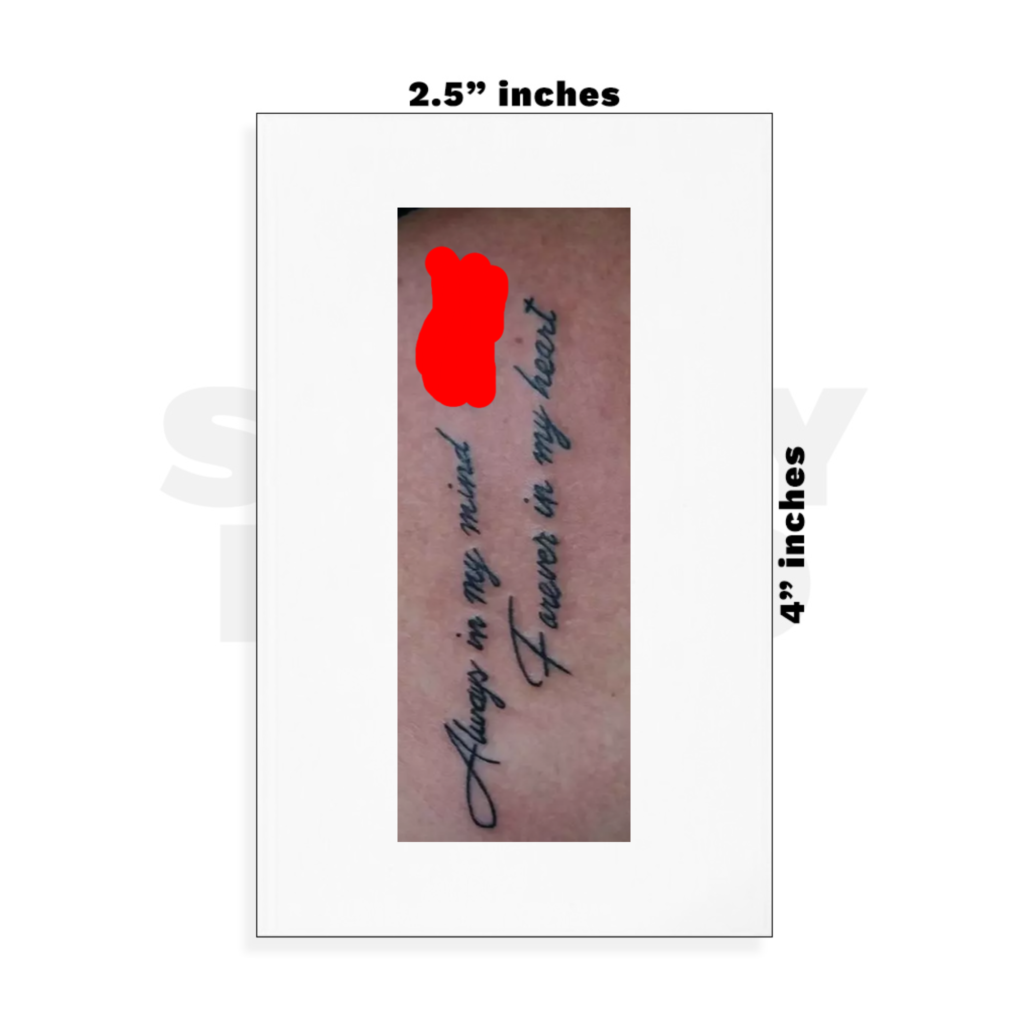 Custom Small - 2.5in x 4in