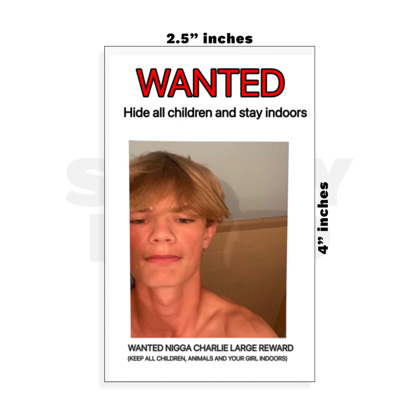 Custom Small - 2.5in x 4in