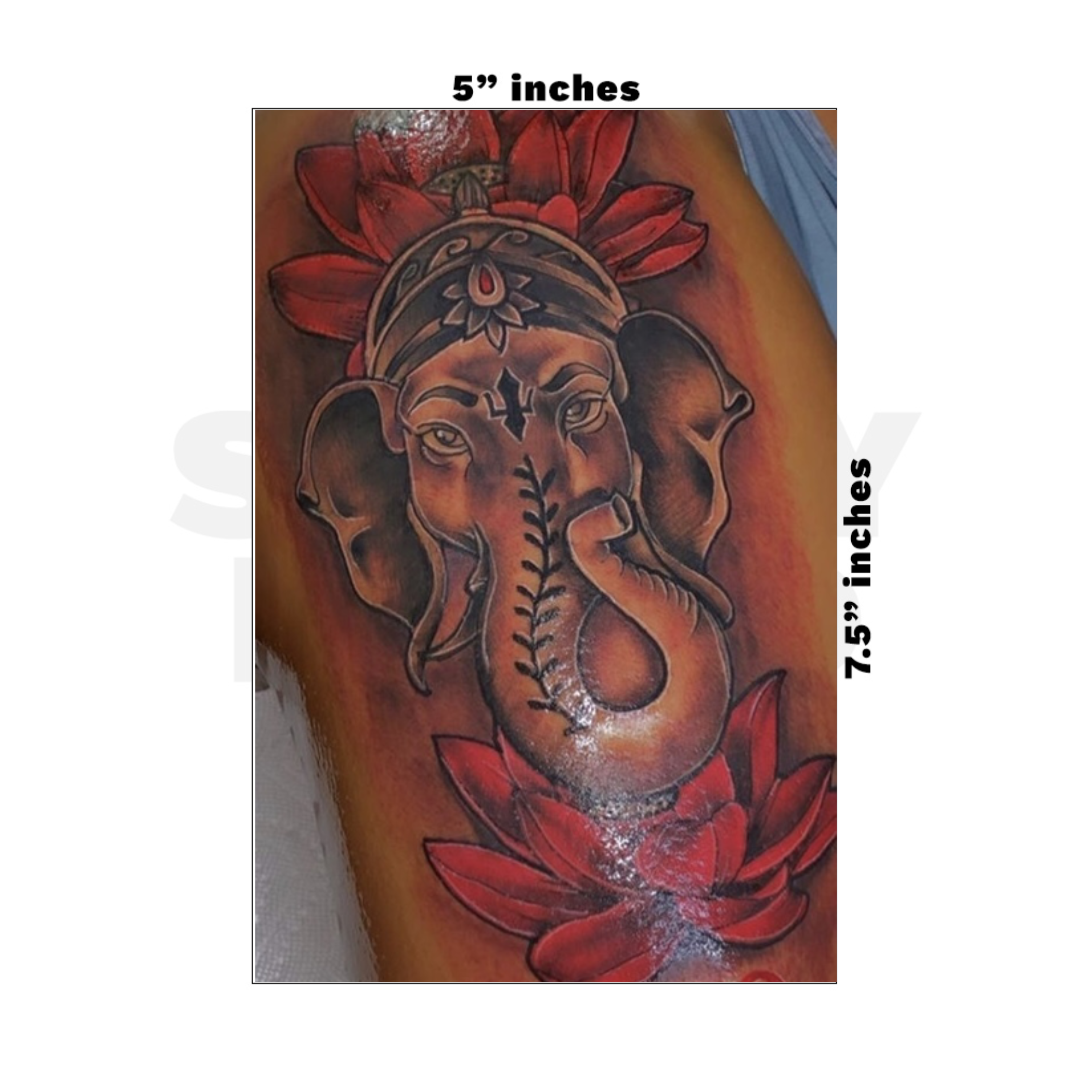 Custom Medium - 5in x 7.5in