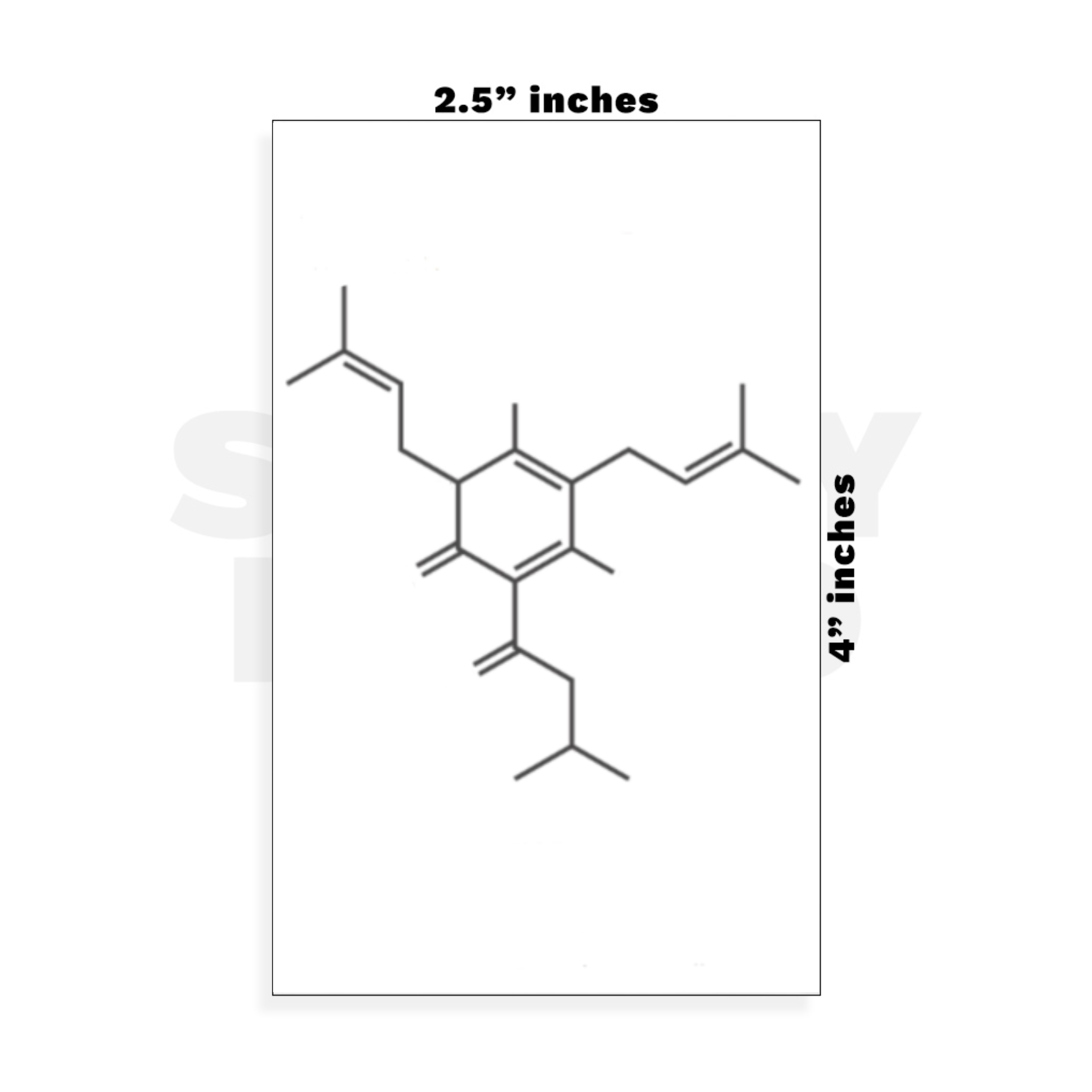 Custom Small - 2.5in x 4in