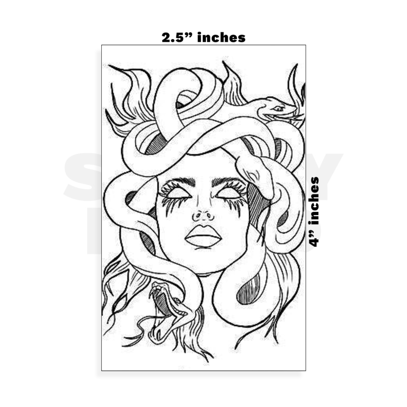 Custom Small - 2.5in x 4in