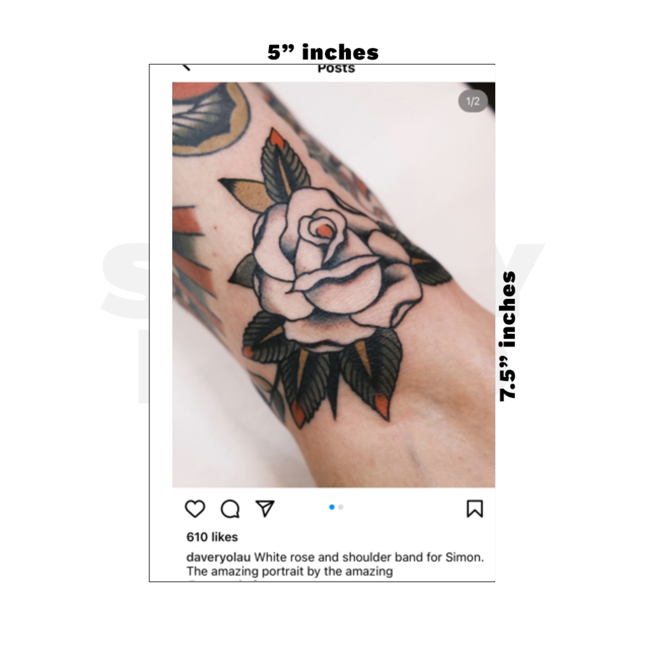 Custom Medium - 5in x 7.5in