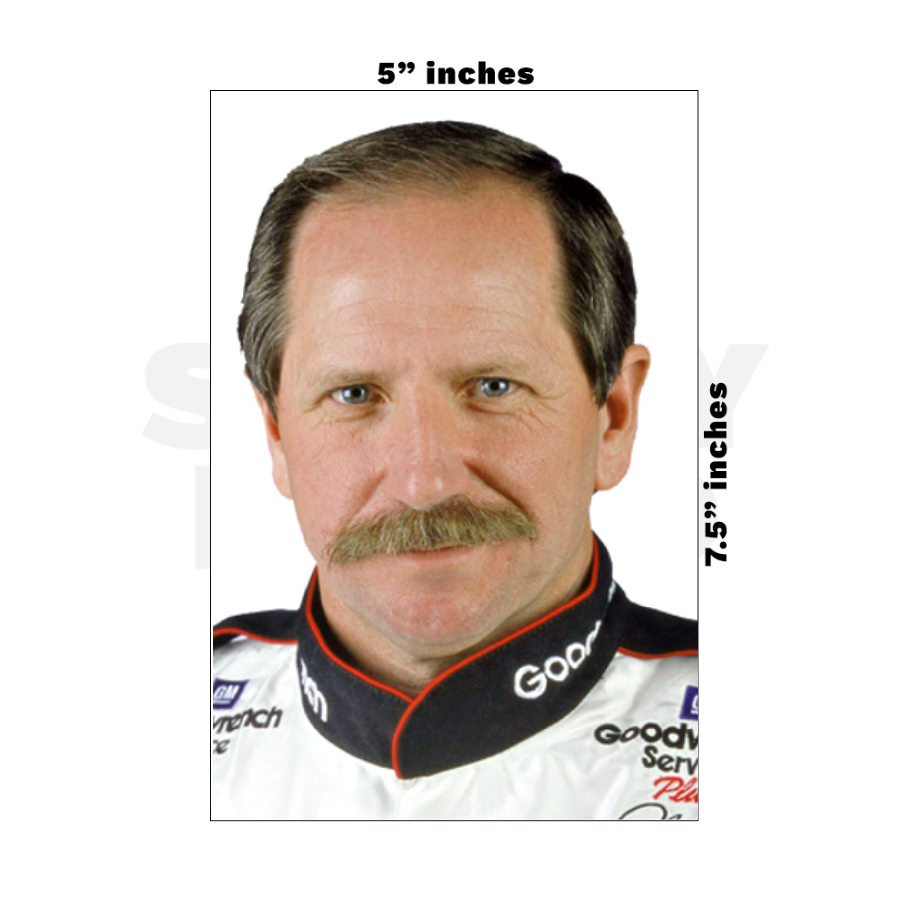 Custom Medium - 5in x 7.5in