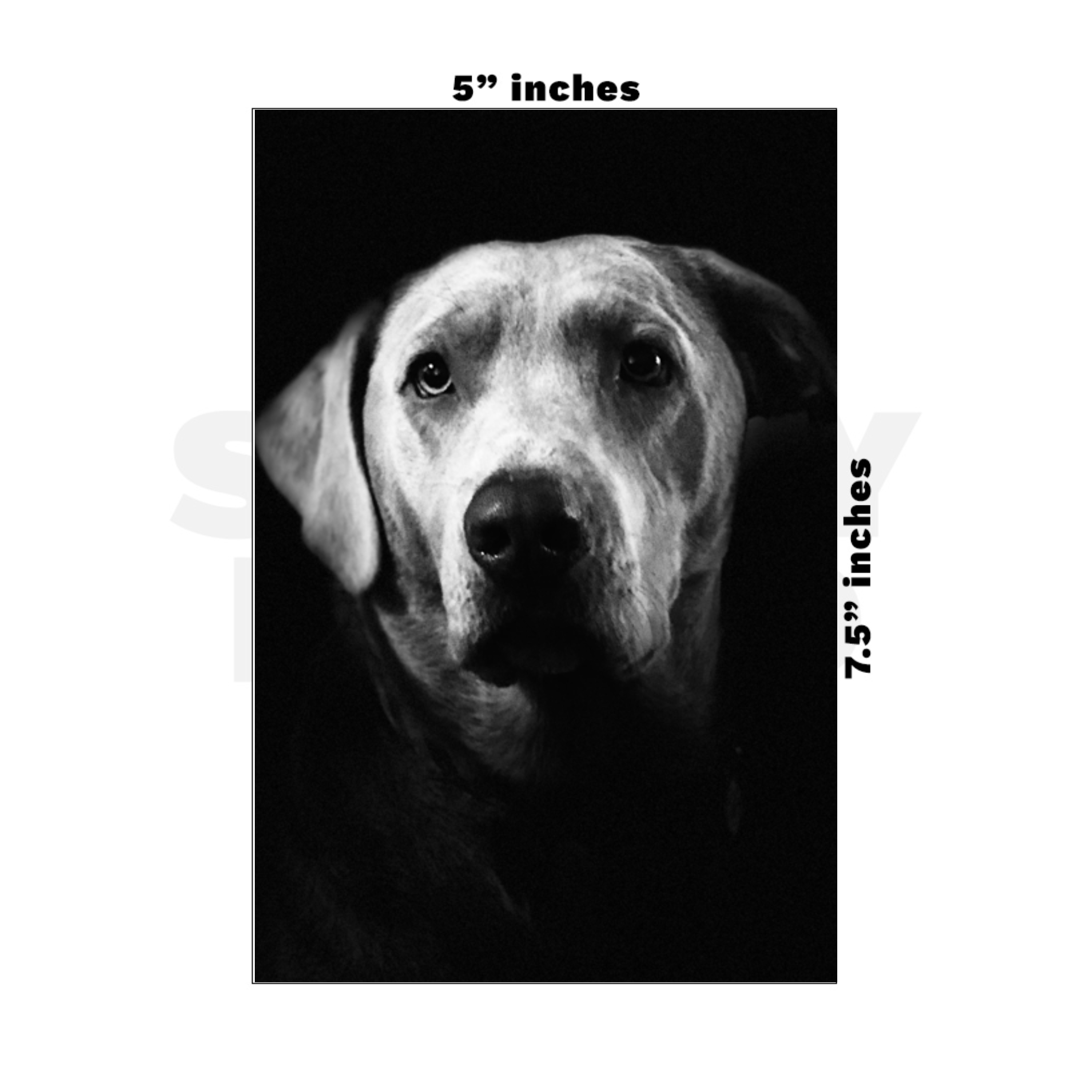 Custom Medium - 5in x 7.5in