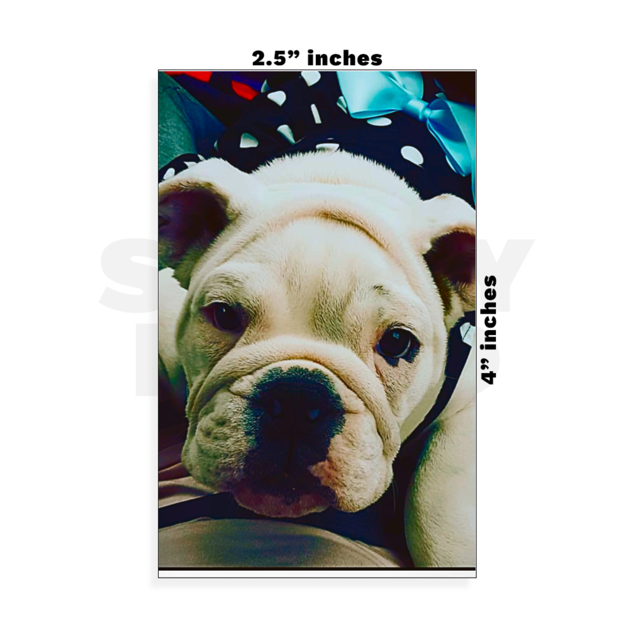 Custom Small - 2.5in x 4in