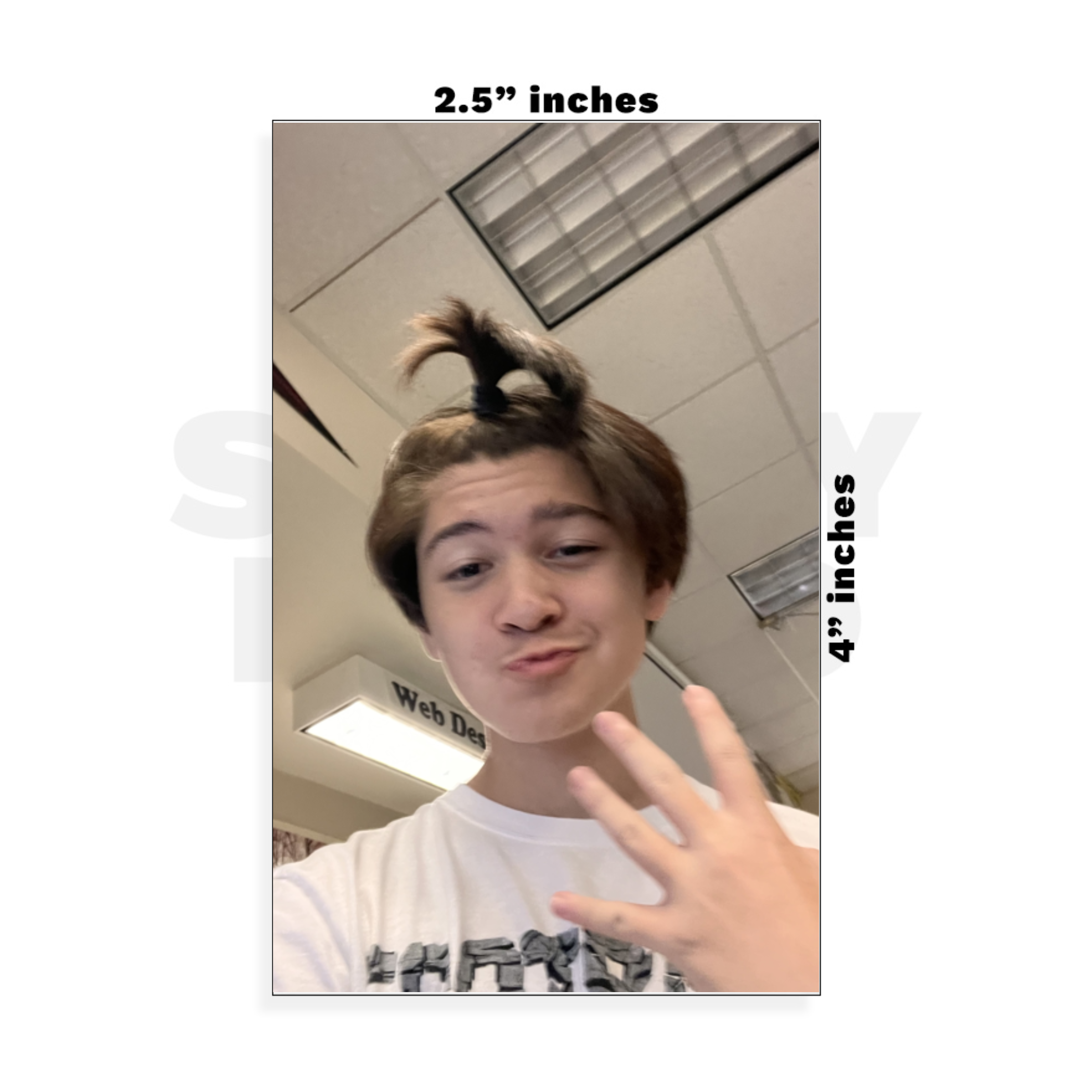 Custom Small - 2.5in x 4in