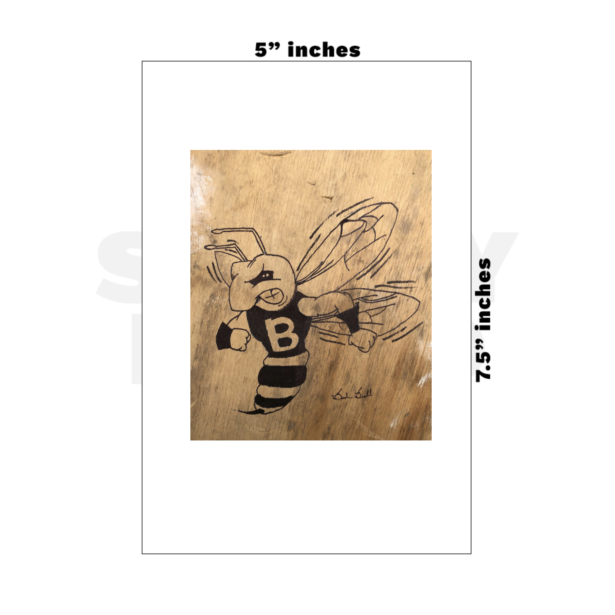 Custom Medium - 5in x 7.5in