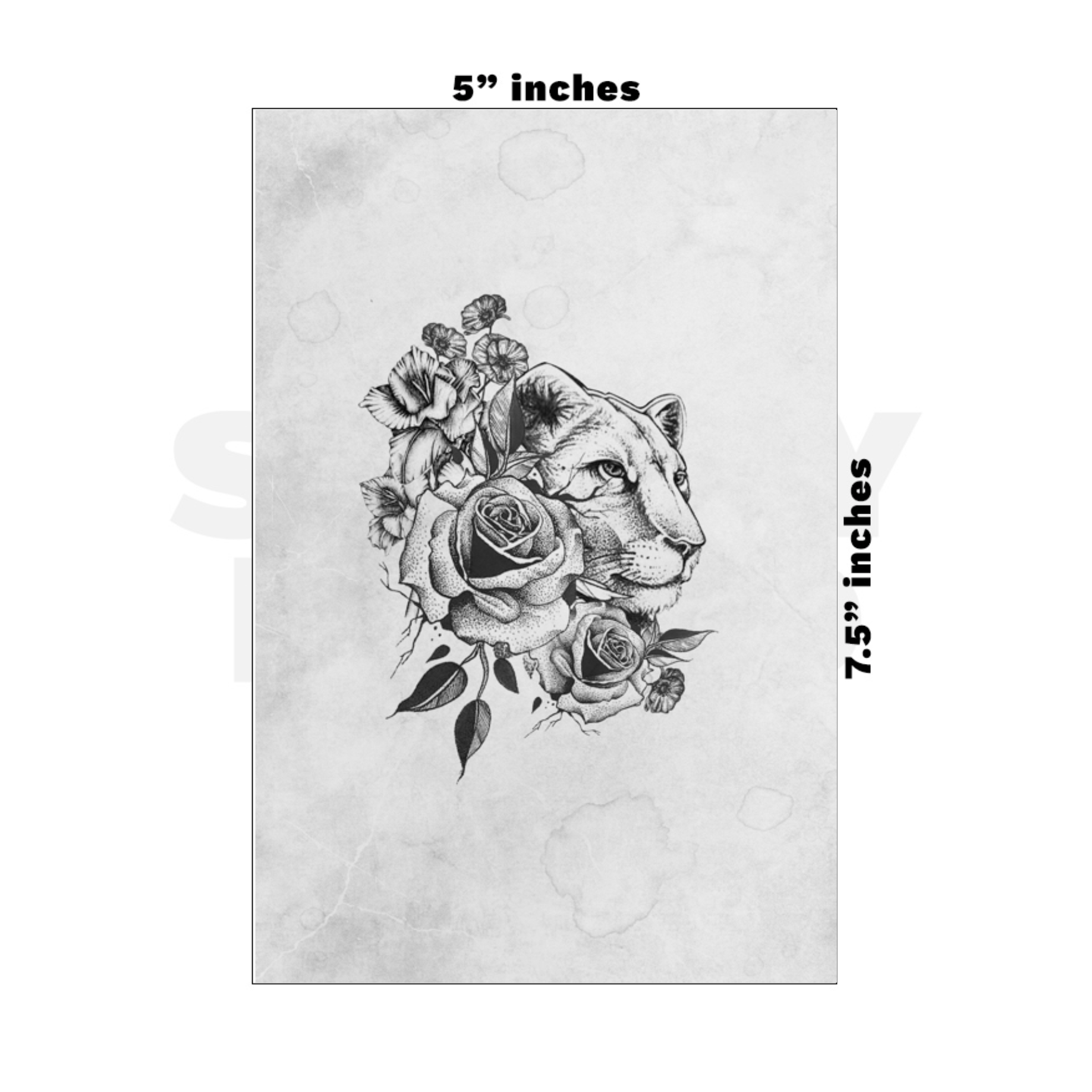 Custom Medium - 5in x 7.5in