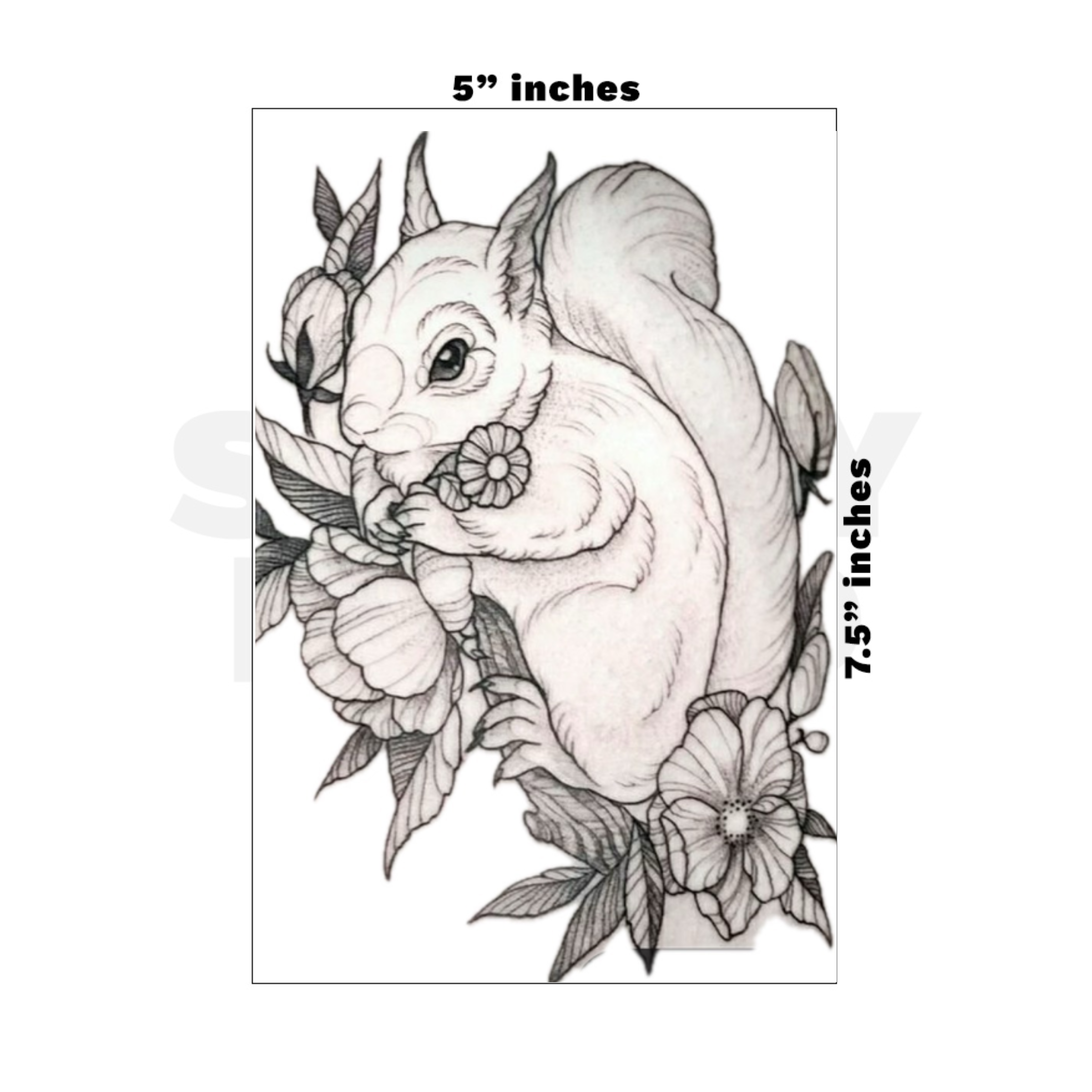 Custom Medium - 5in x 7.5in