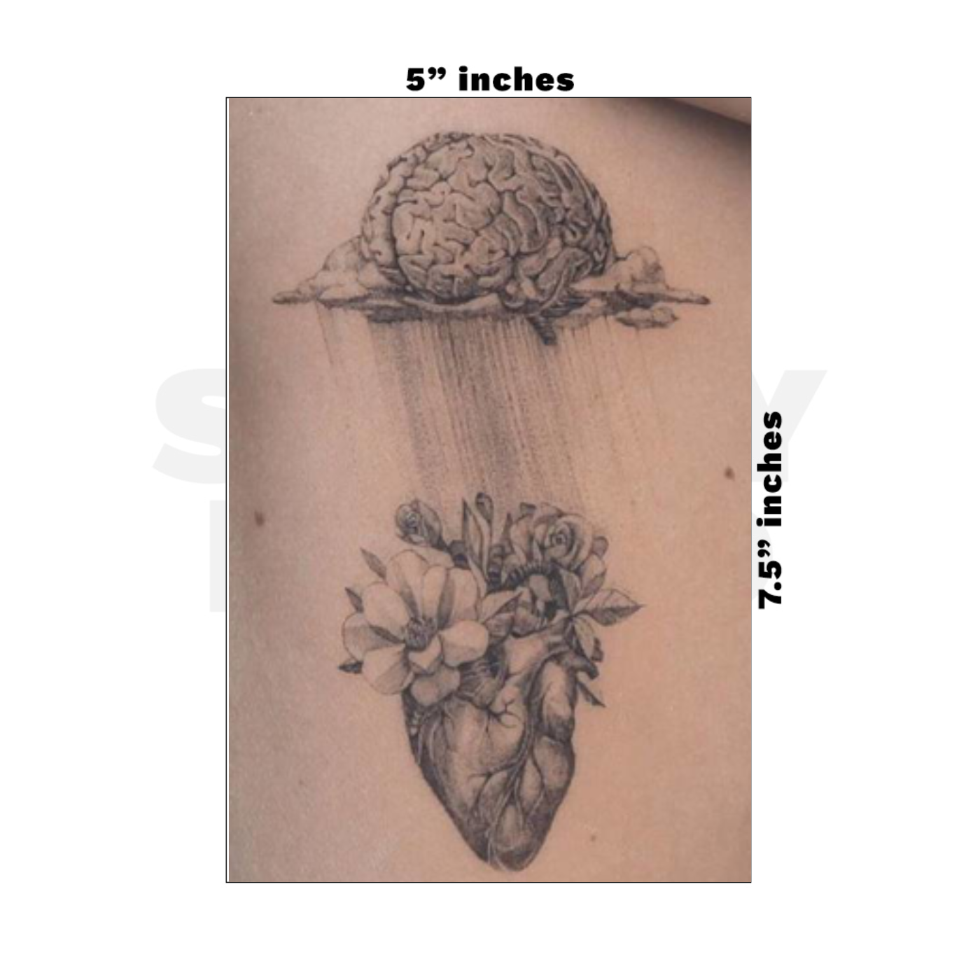 Custom Medium - 5in x 7.5in